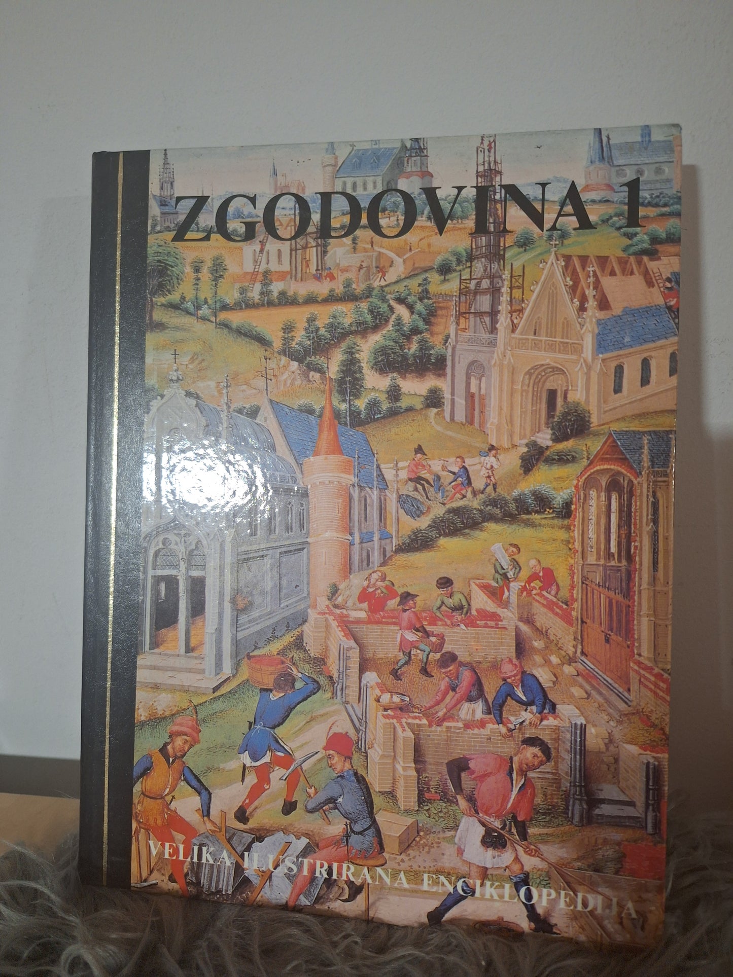 Velika ilustrirana enciklopedija -Zgodovina 1, 2, -Narava, -Zemlja, -Stroji, -Znanost, -Človek. Založba Mladinska knjiga