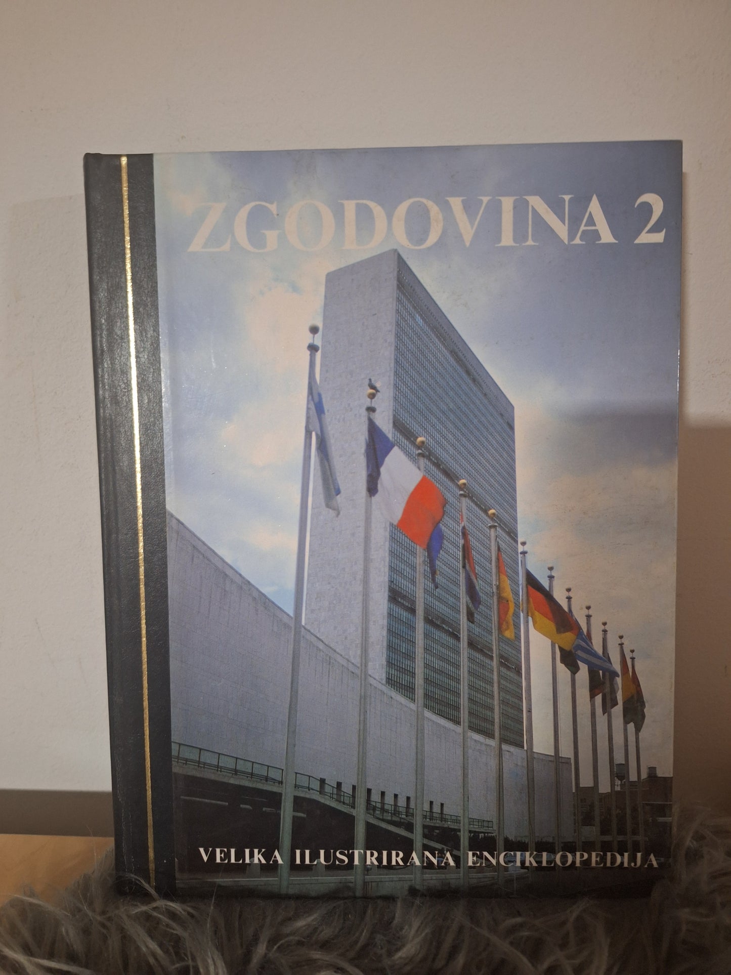 Velika ilustrirana enciklopedija -Zgodovina 1, 2, -Narava, -Zemlja, -Stroji, -Znanost, -Človek. Založba Mladinska knjiga