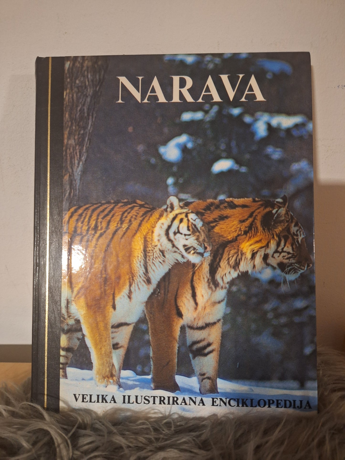 Velika ilustrirana enciklopedija -Zgodovina 1, 2, -Narava, -Zemlja, -Stroji, -Znanost, -Človek. Založba Mladinska knjiga