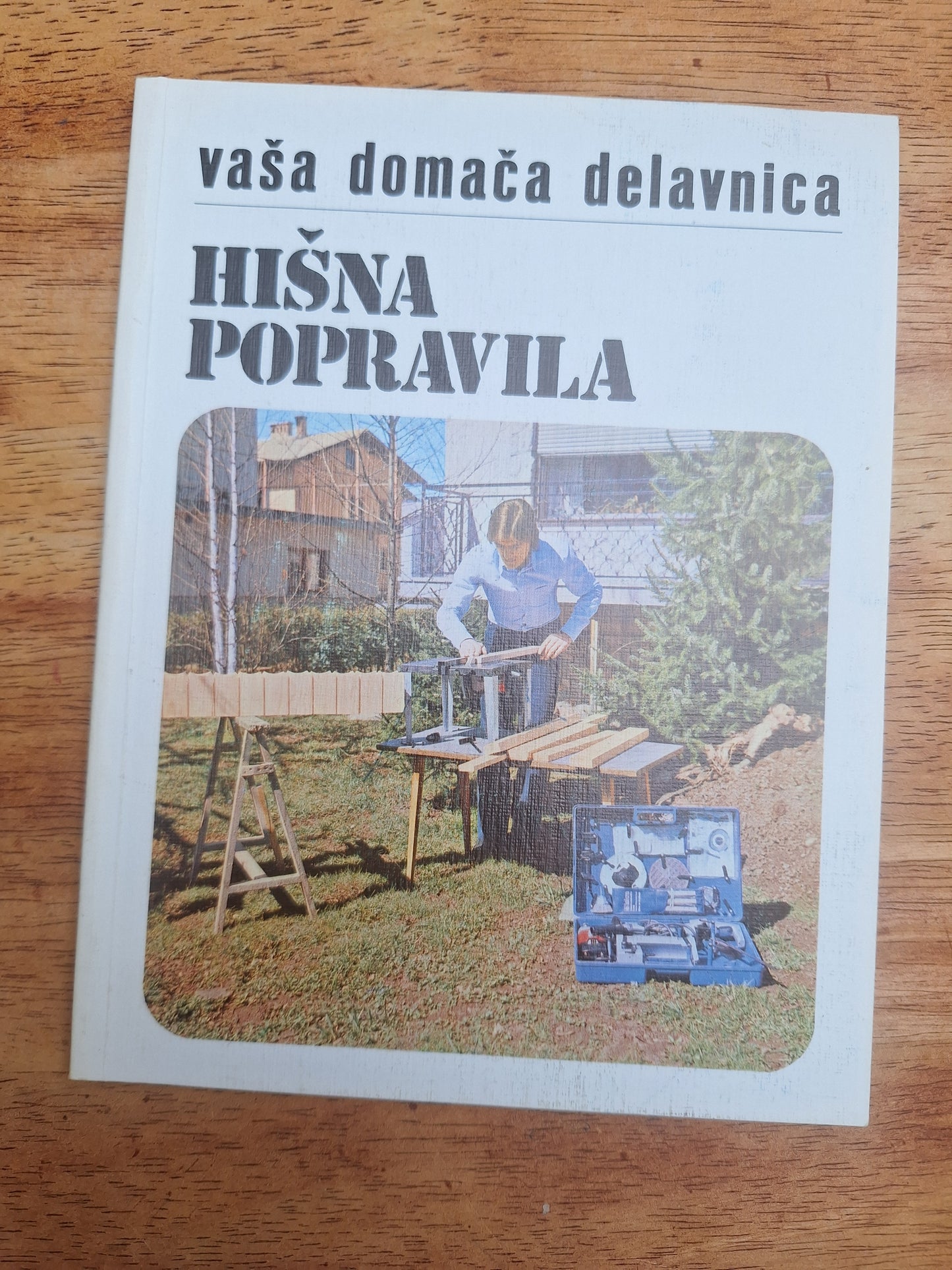 Vaša delavnica Oblaganje stropov,tal in sten, Pleskarstvo za vsakogar, Hišna popravila Hans Hermann Gores,Rudolf Horstman,