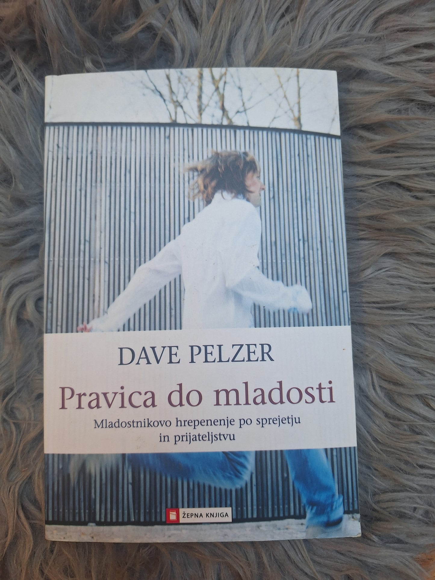 Pravica do mladosti Dave Pelzer