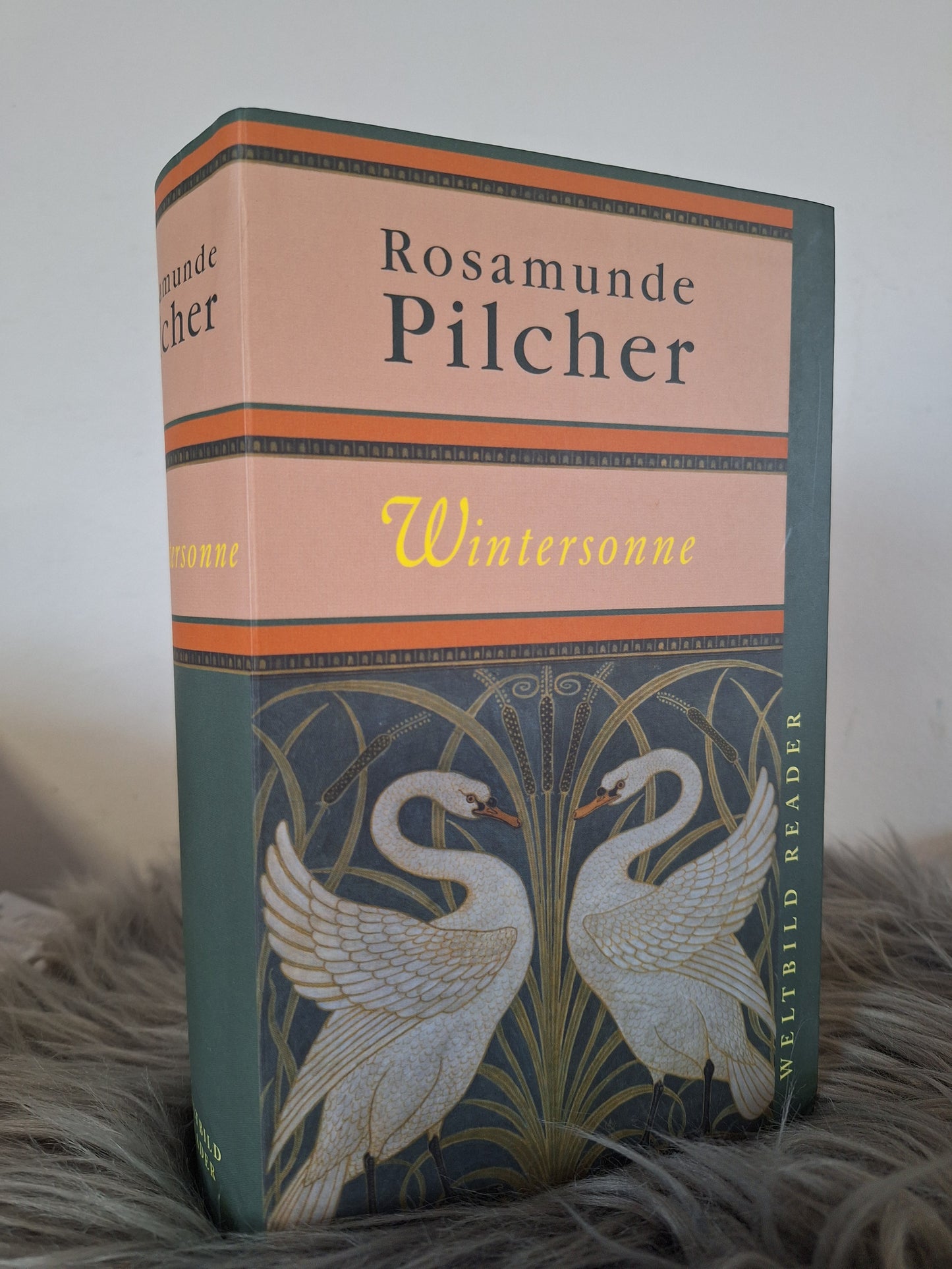 Wintersonne Rosamunde Pilcher