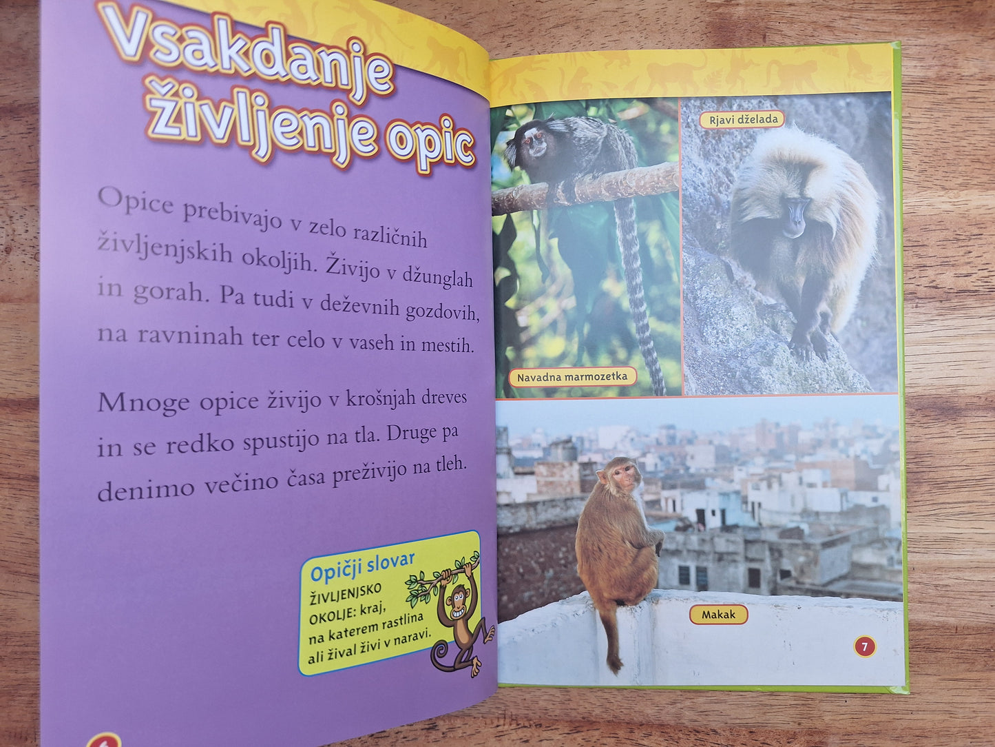 Opice čudežni svet živali National Geographic