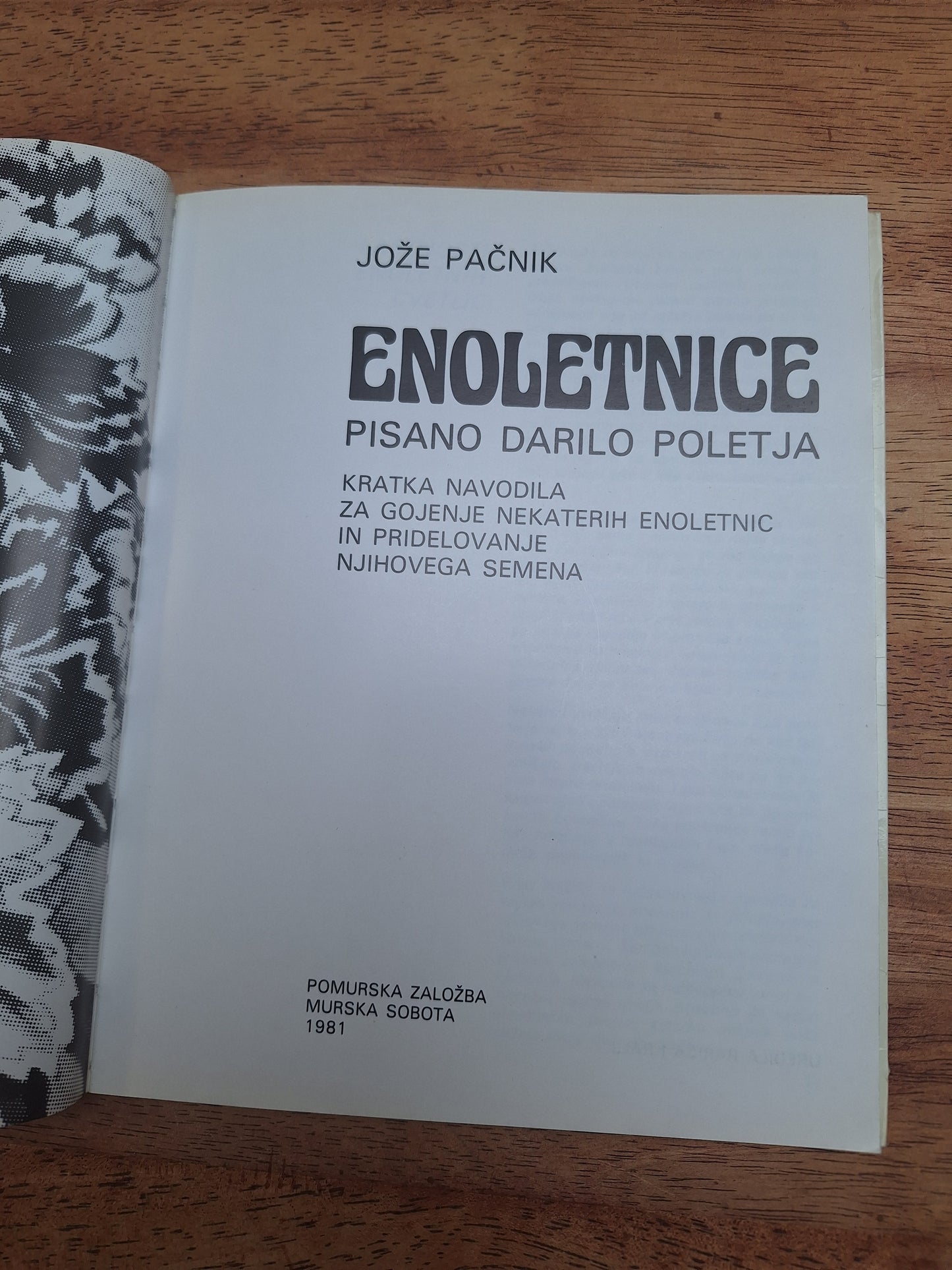 Enoletnice Jože Pačnik