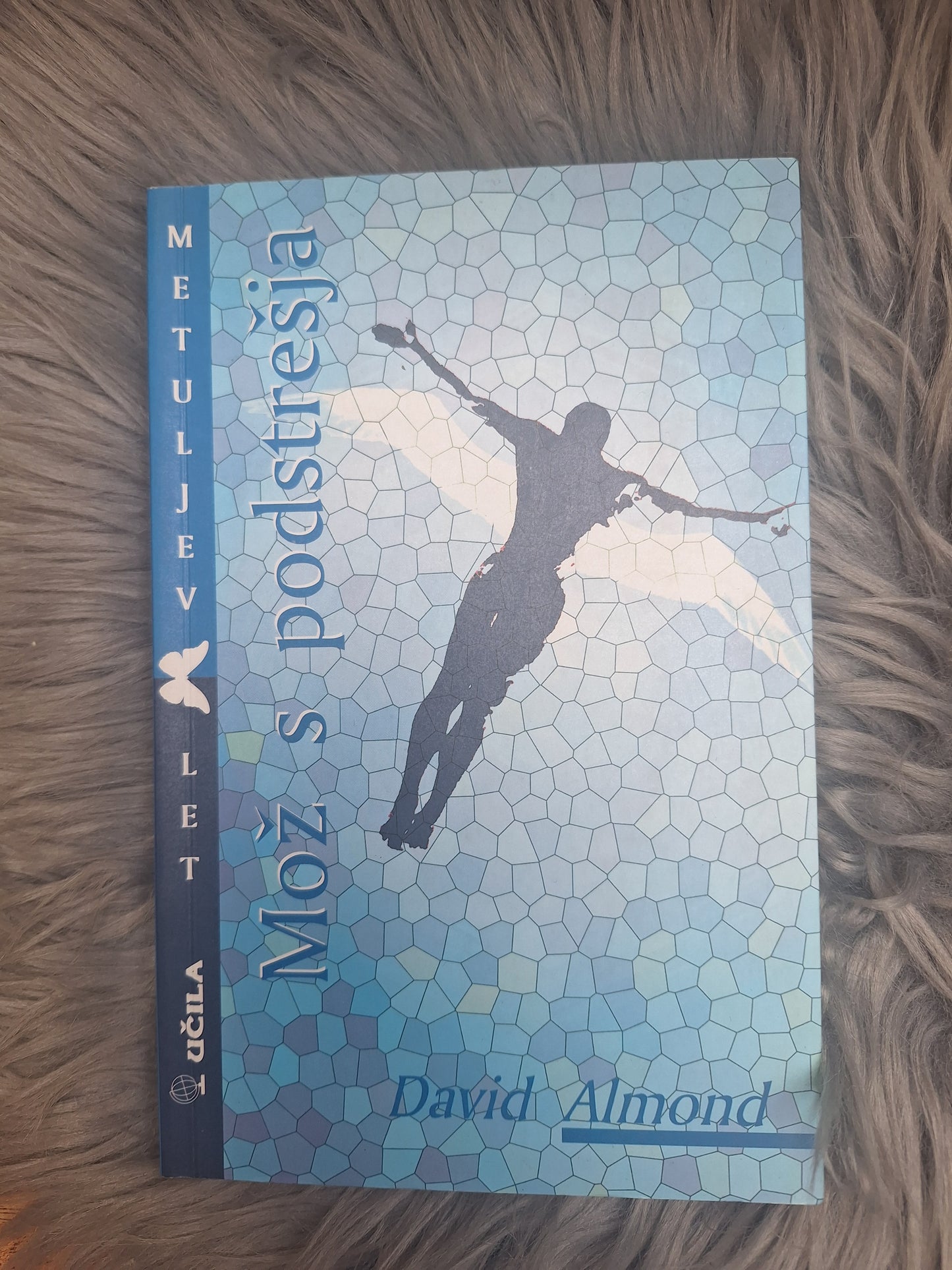 Mož s podstrešja David Almond