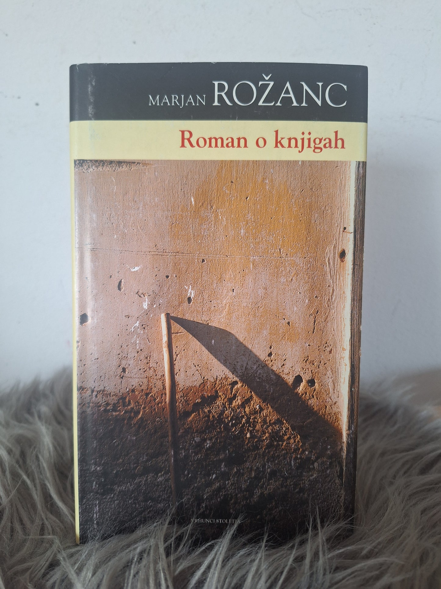 Roman o knjigah Marjan Rožanc