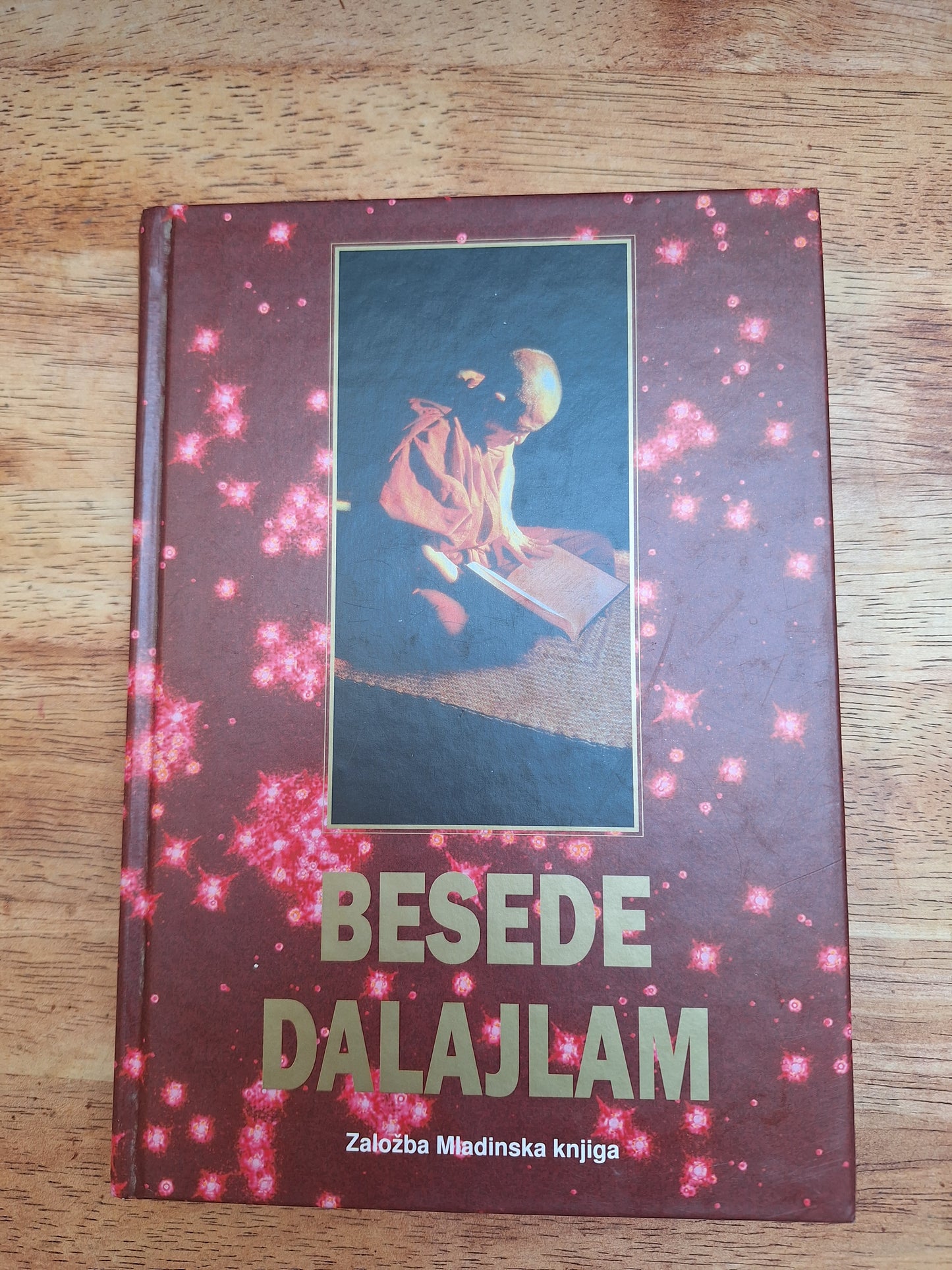 Besede dalajlam Mladinska knjiga