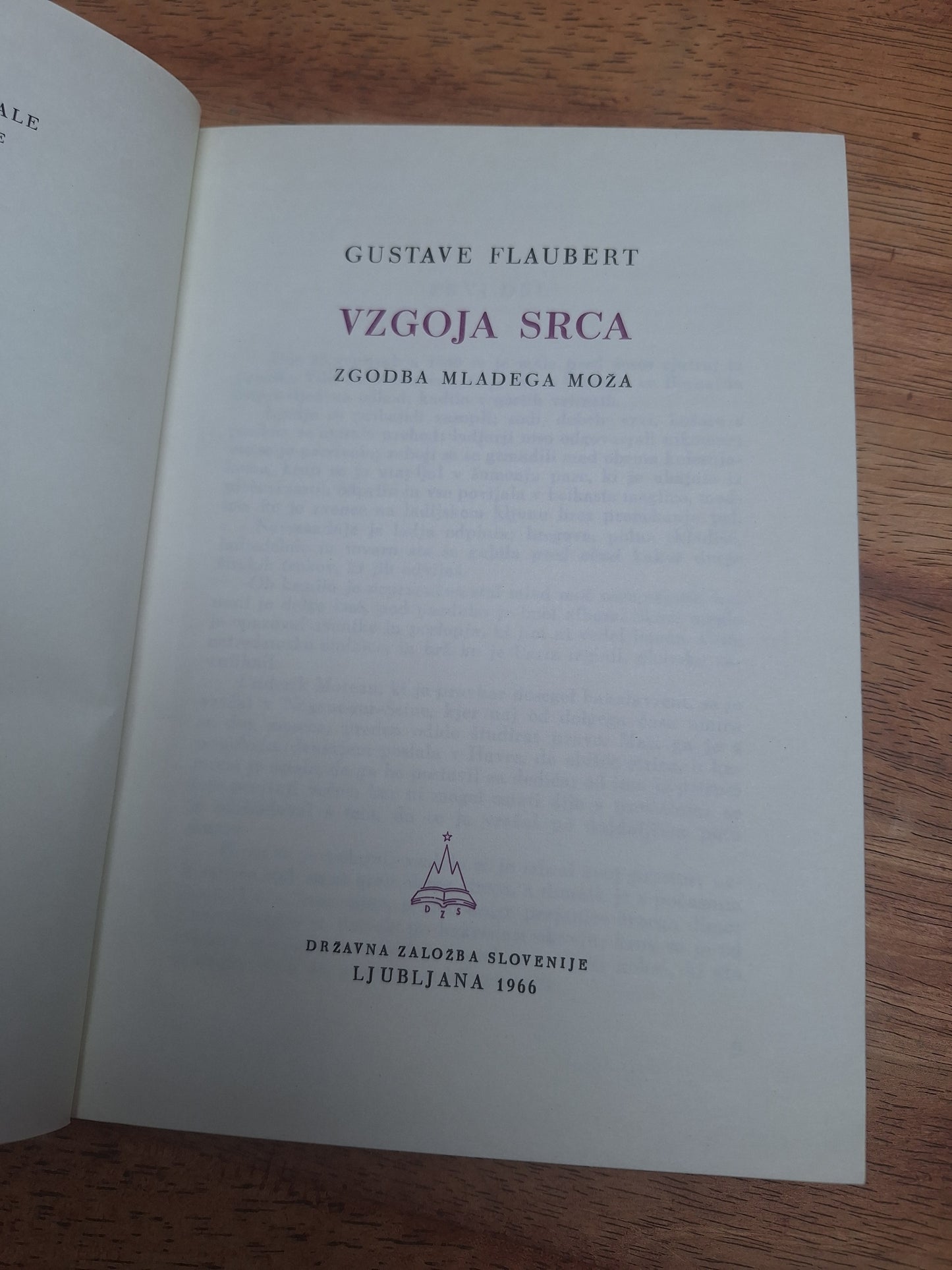 Vzgoja srca Gustave Flaubert