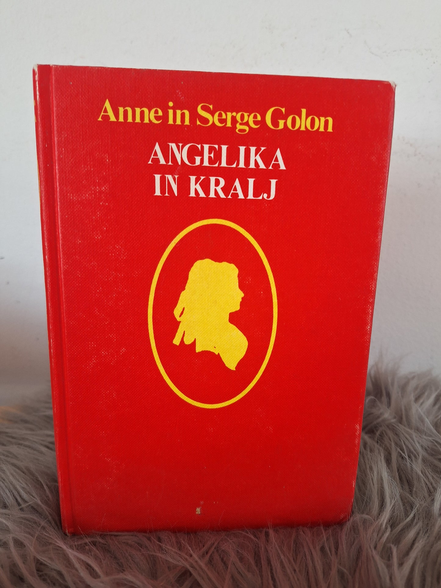 Angelike Sorge in Anne Golon