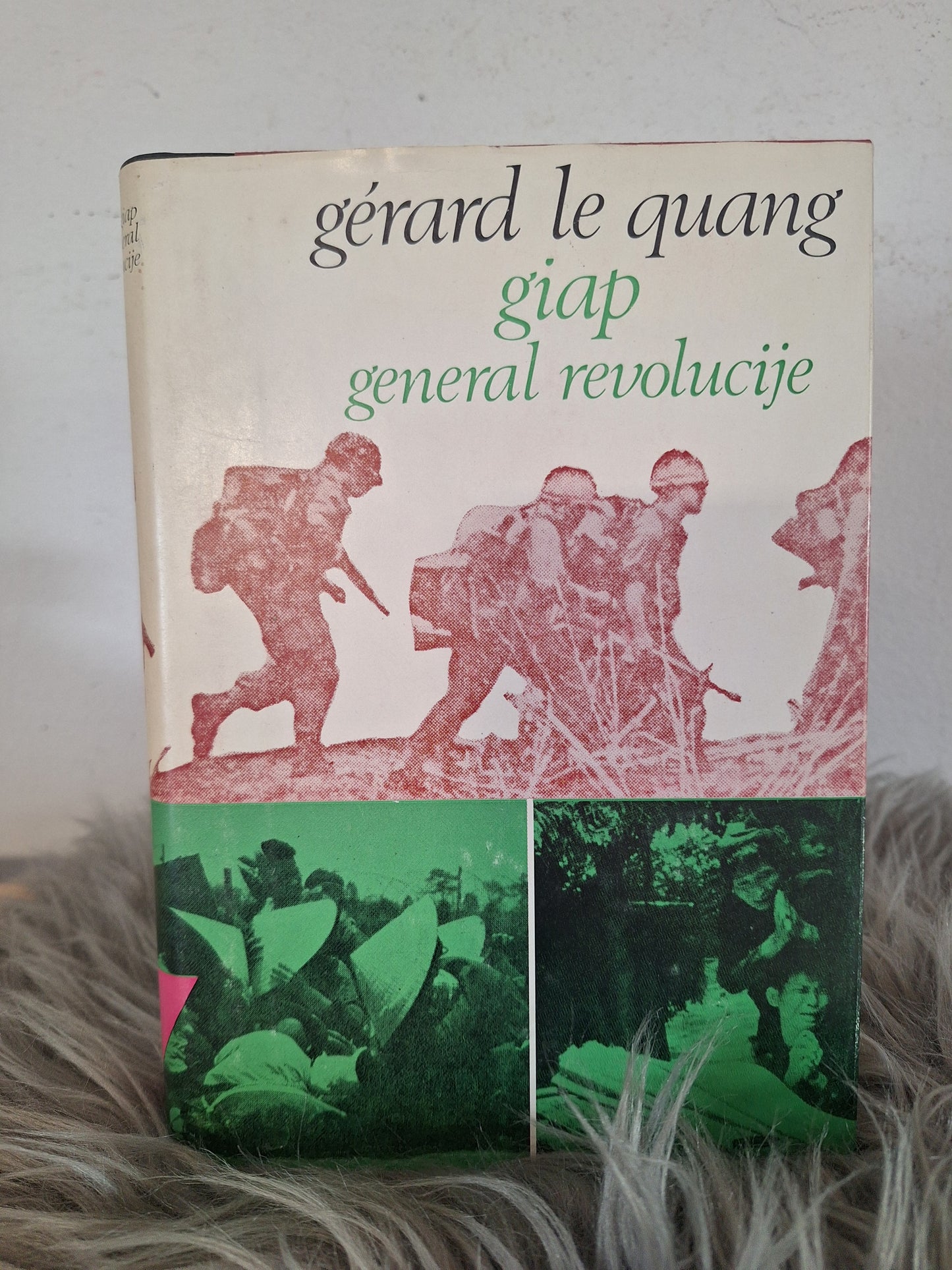 Giap general revolucije Gerard Le Quang