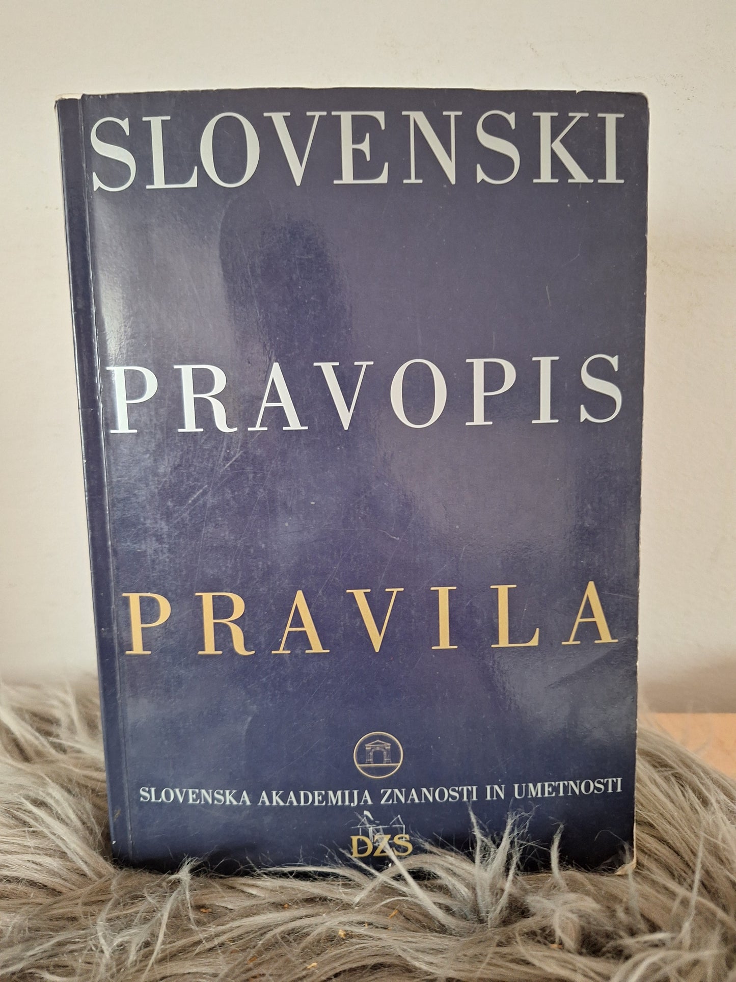 Slovenski pravopis pravila Dzs