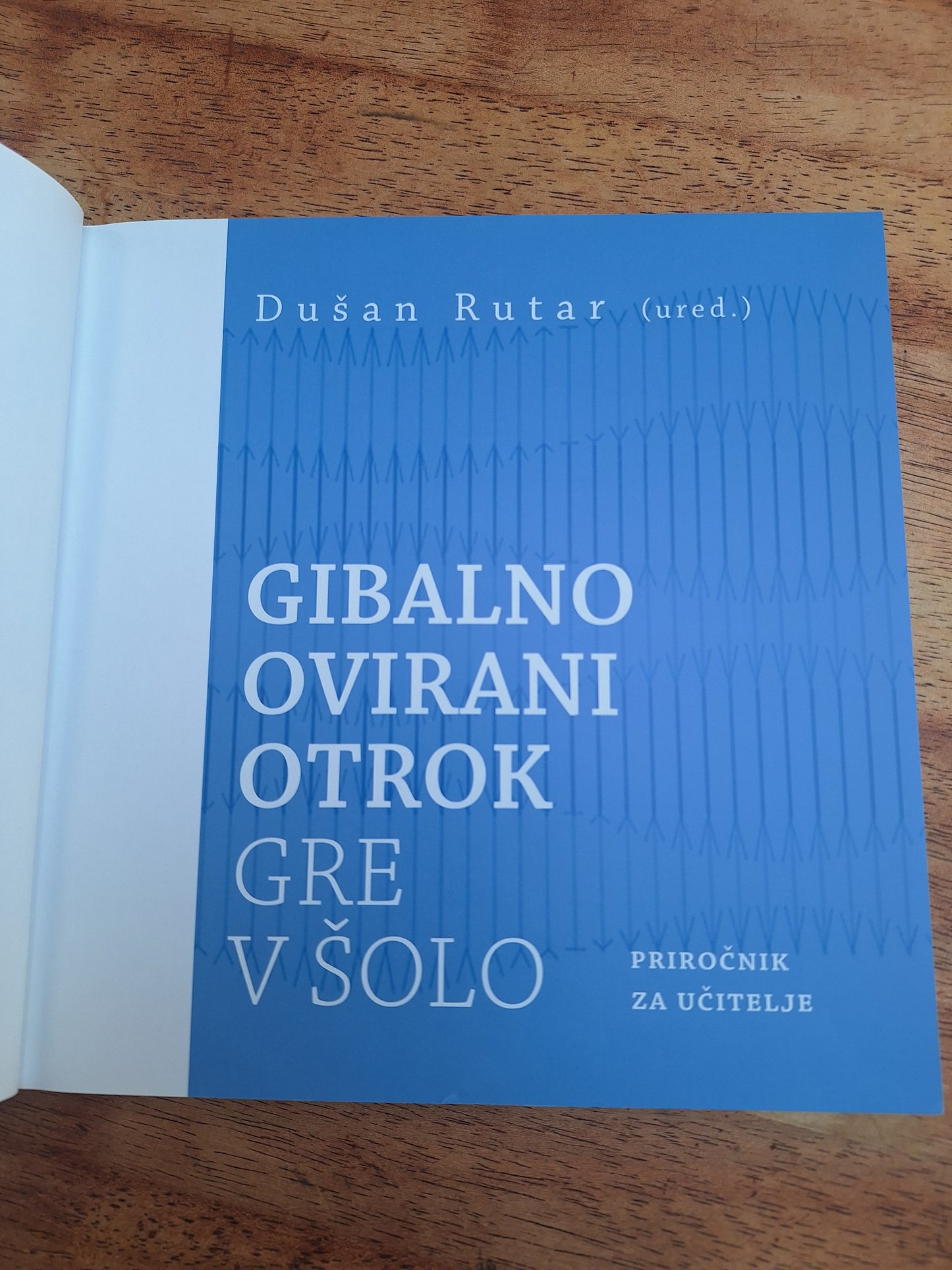 Gibalno oviran otrok gre v šolo Dušan Rutar