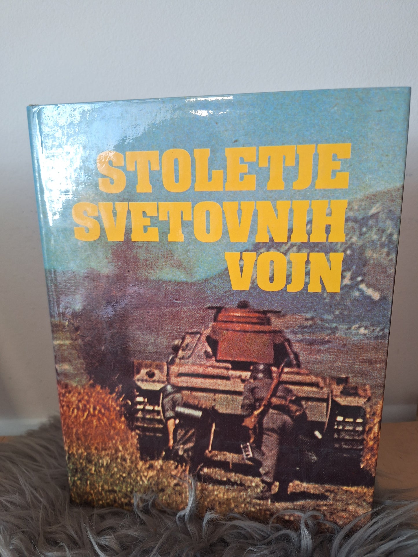 Stoletje svetovnih vojn več avtorjev