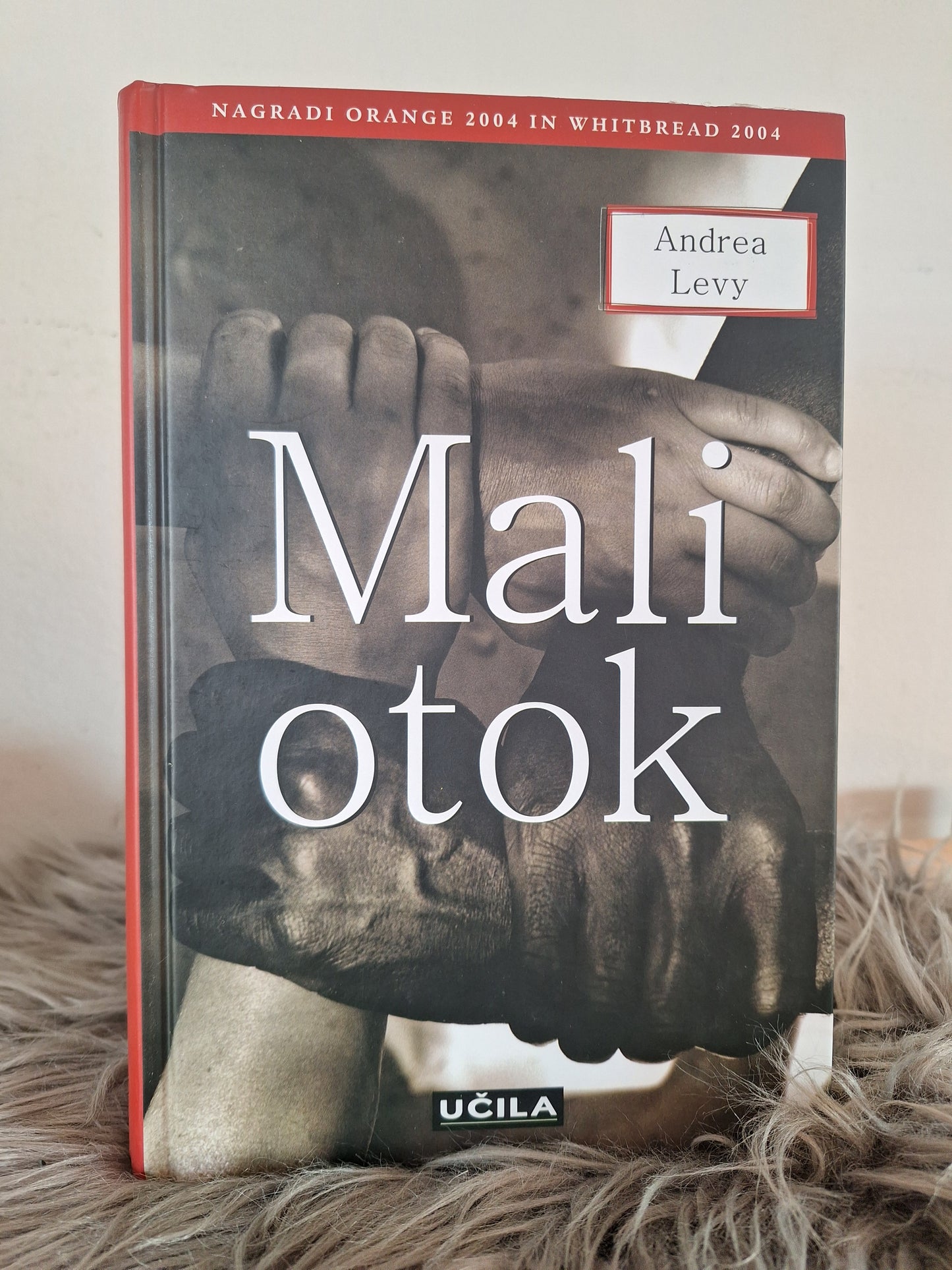 Mali otok Andrea Levy