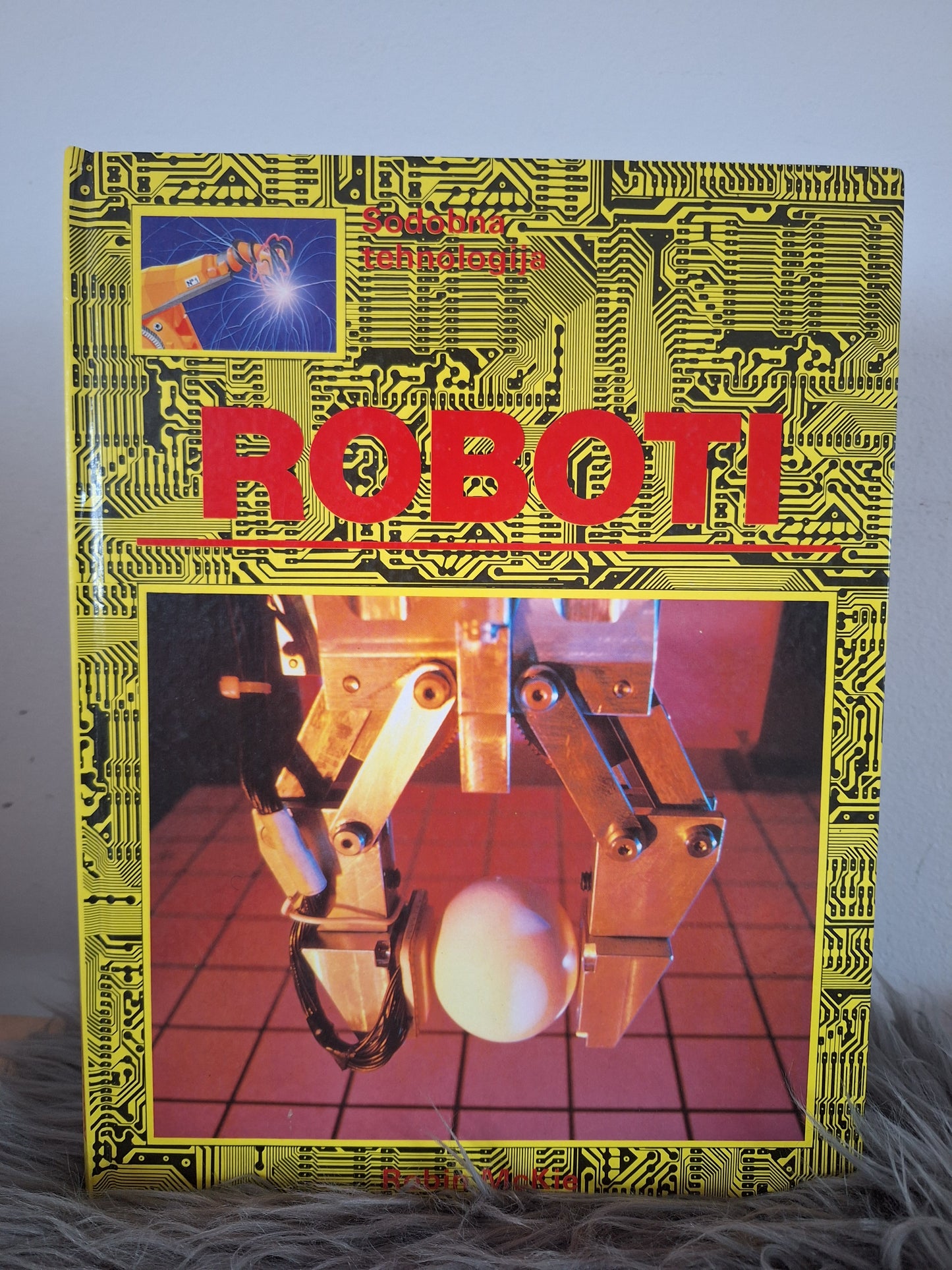 Roboti Robin  McKie