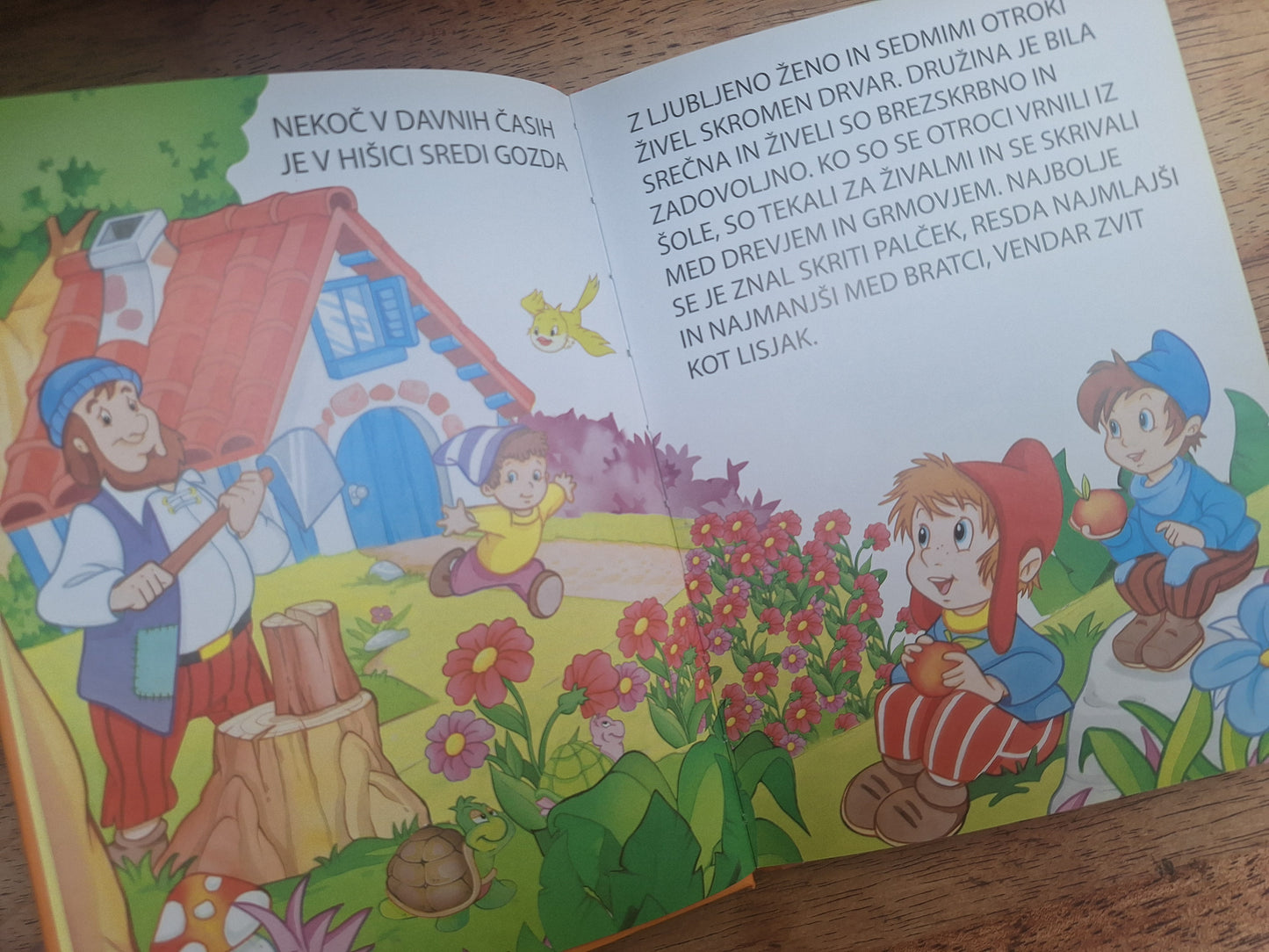 Peter Pan, Palček, Grdi raček Založba Grahovac