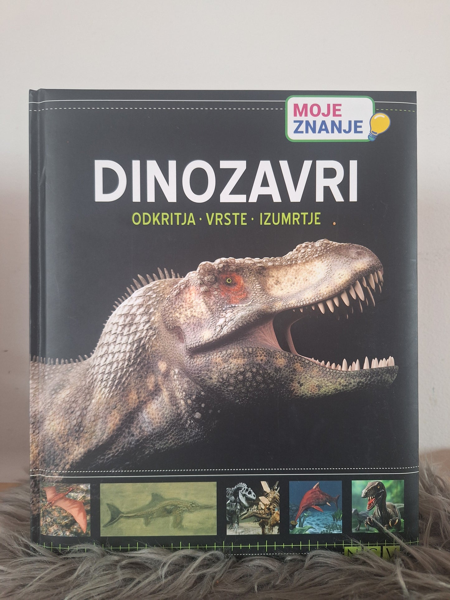 Dinozavri Moje znanje