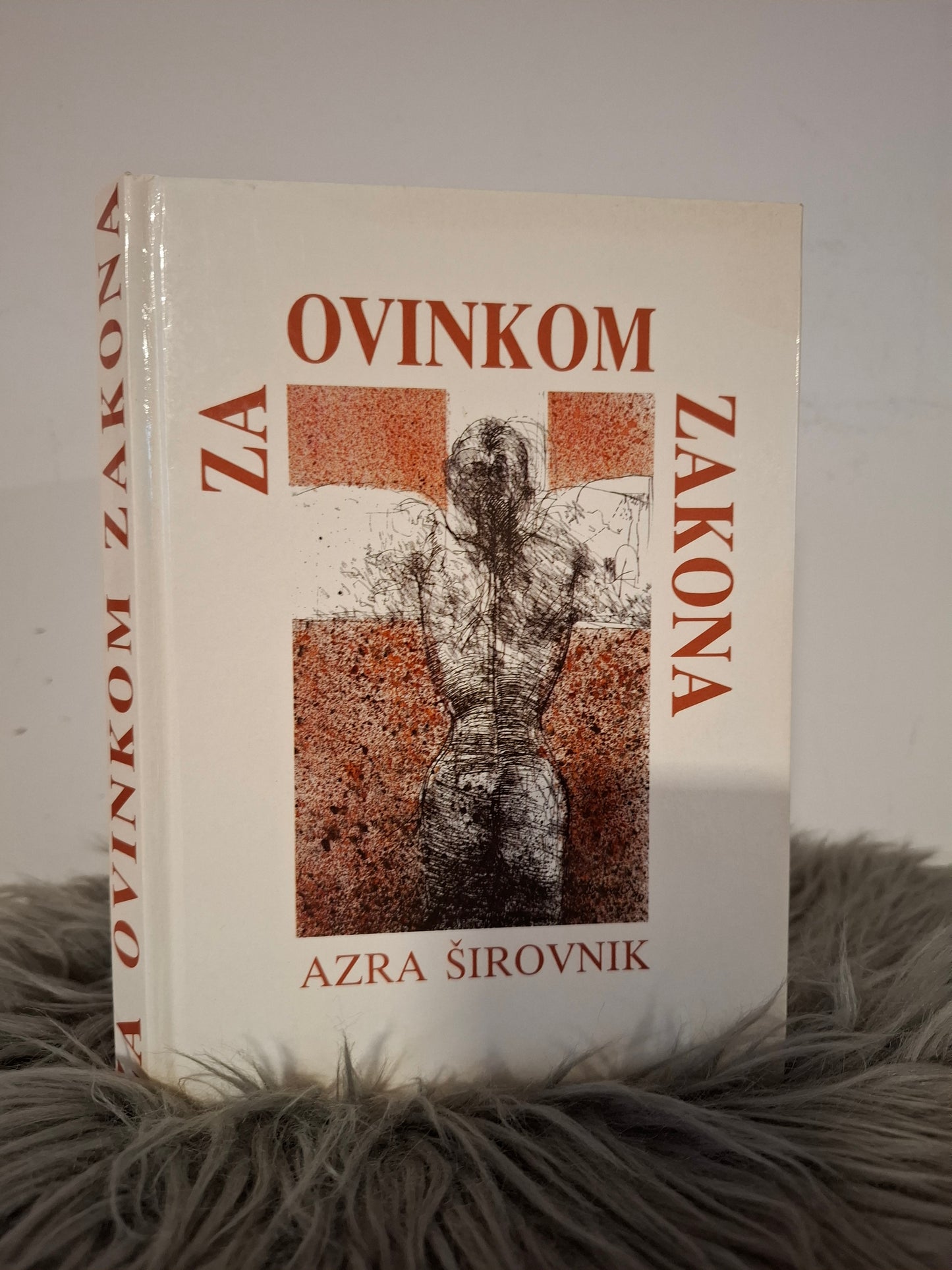 Za ovinkom zakona Azra Širovnik