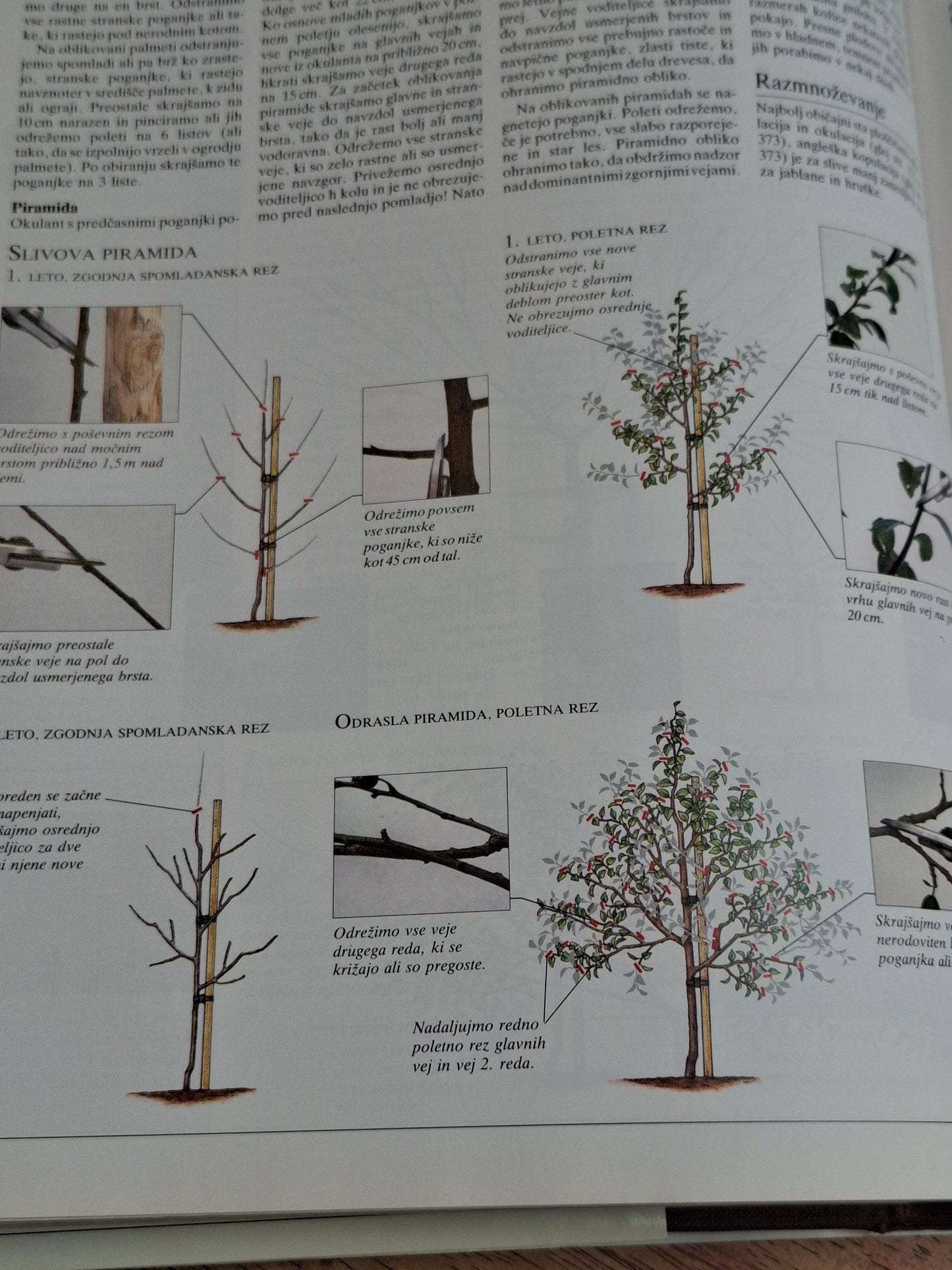 Angleško kraljevo hortikulturno združenje Enciklopedija vrtnarjenja  Slovenska knjiga