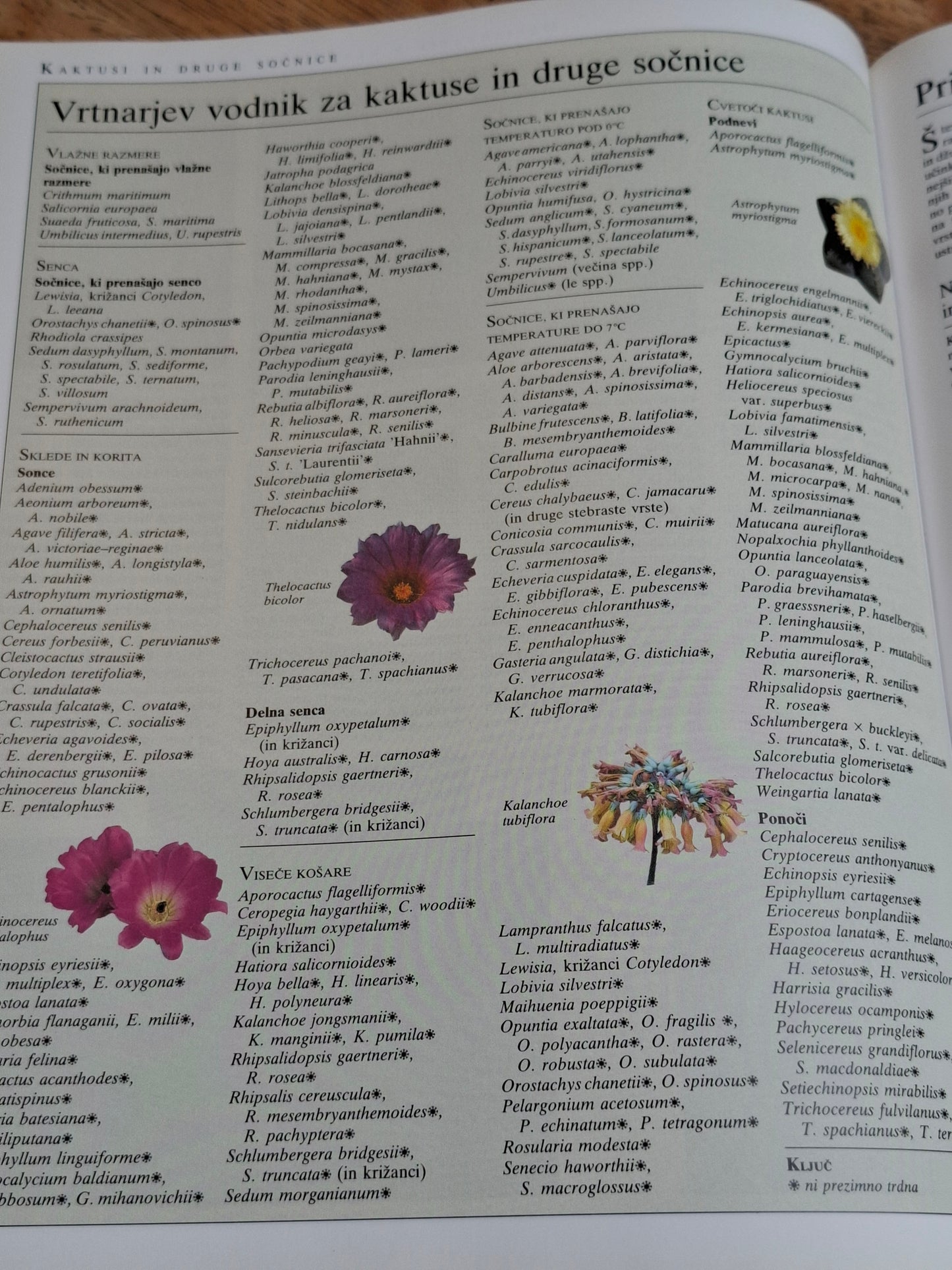 Angleško kraljevo hortikulturno združenje Enciklopedija vrtnarjenja  Slovenska knjiga