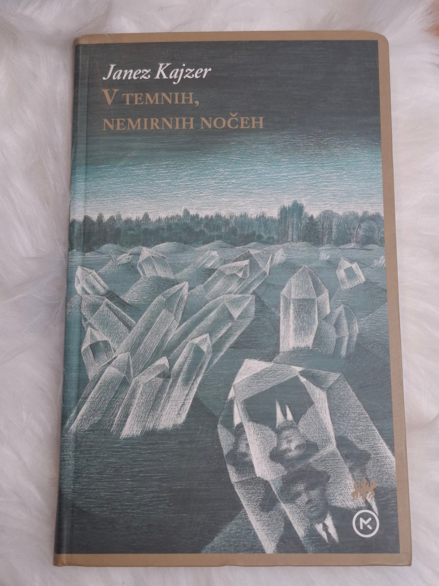 V temnih, nemirnih nočeh, Janez Kajzer