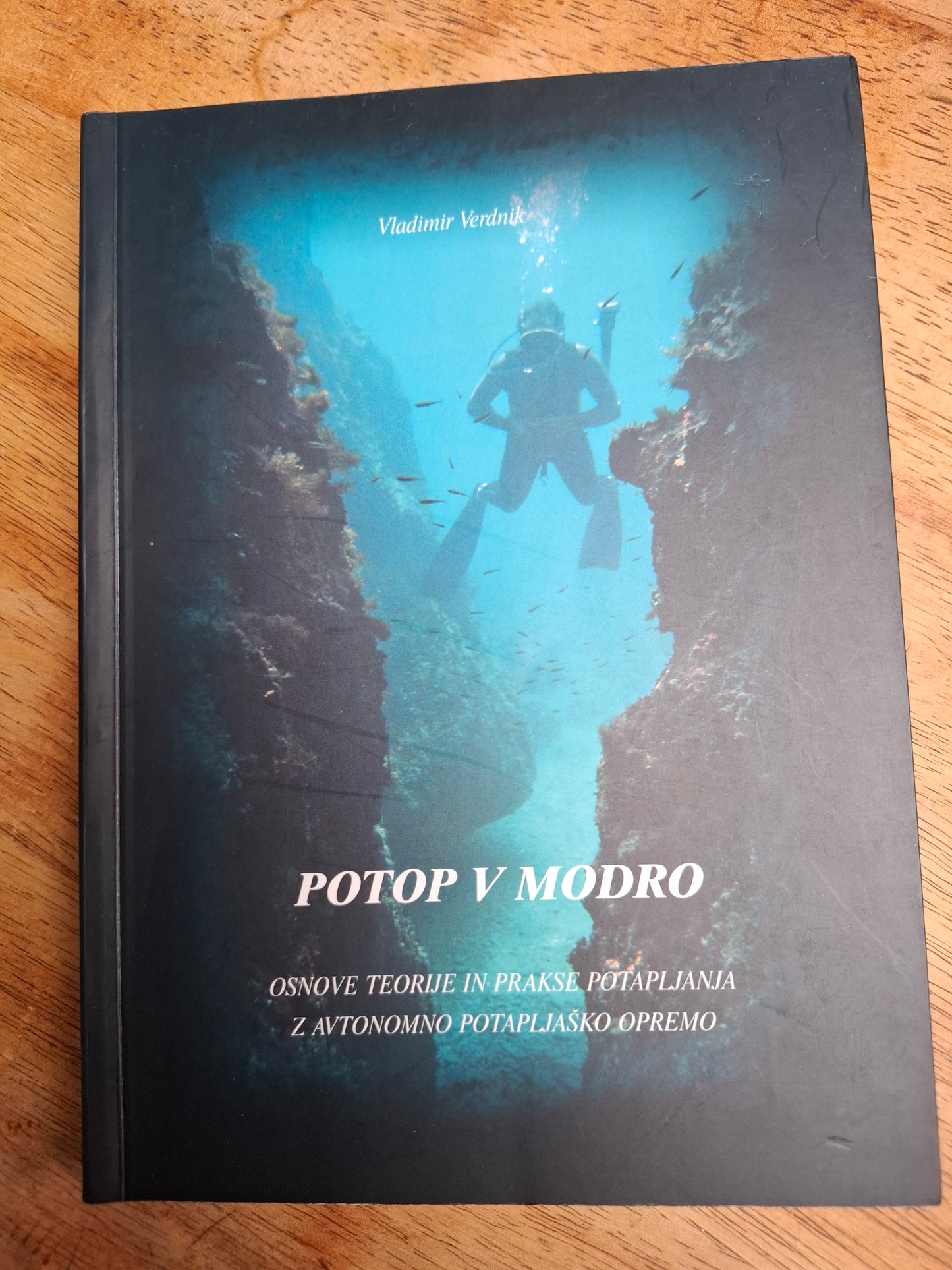 Potop v modro, Vladimir Verdnik