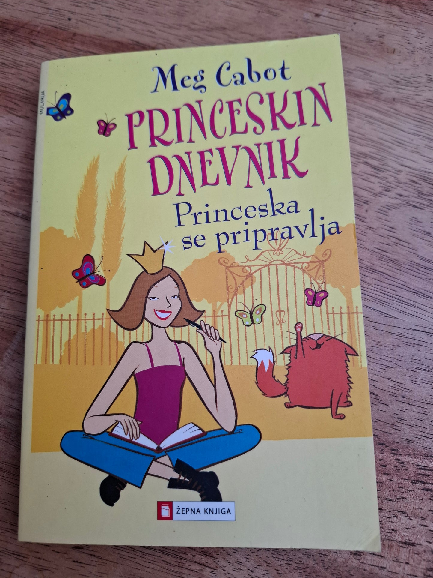 Princeskin dnevnik Princeska se pripravlja Meg Canbot