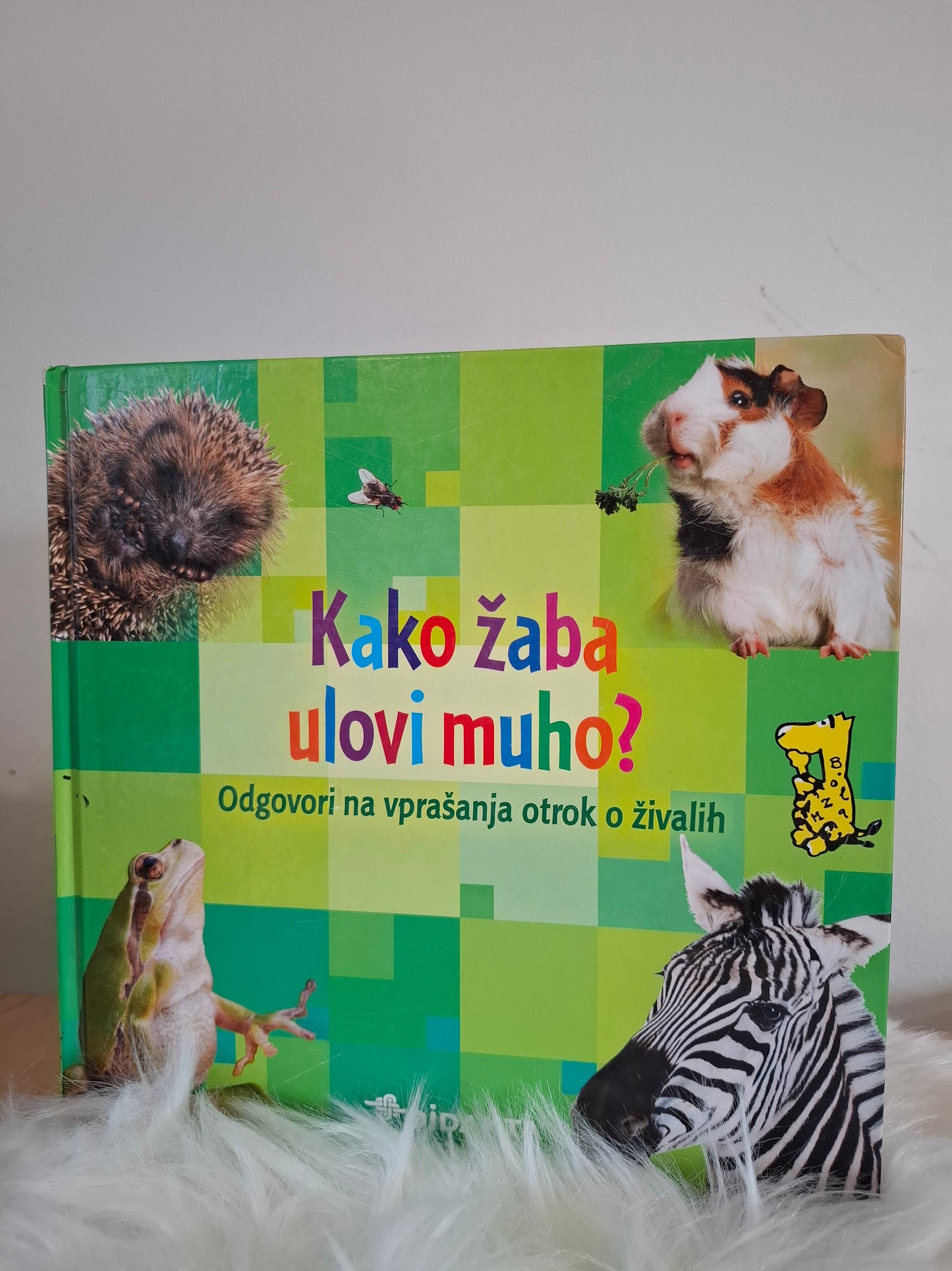 Kako žaba ulovi muho? Didakta