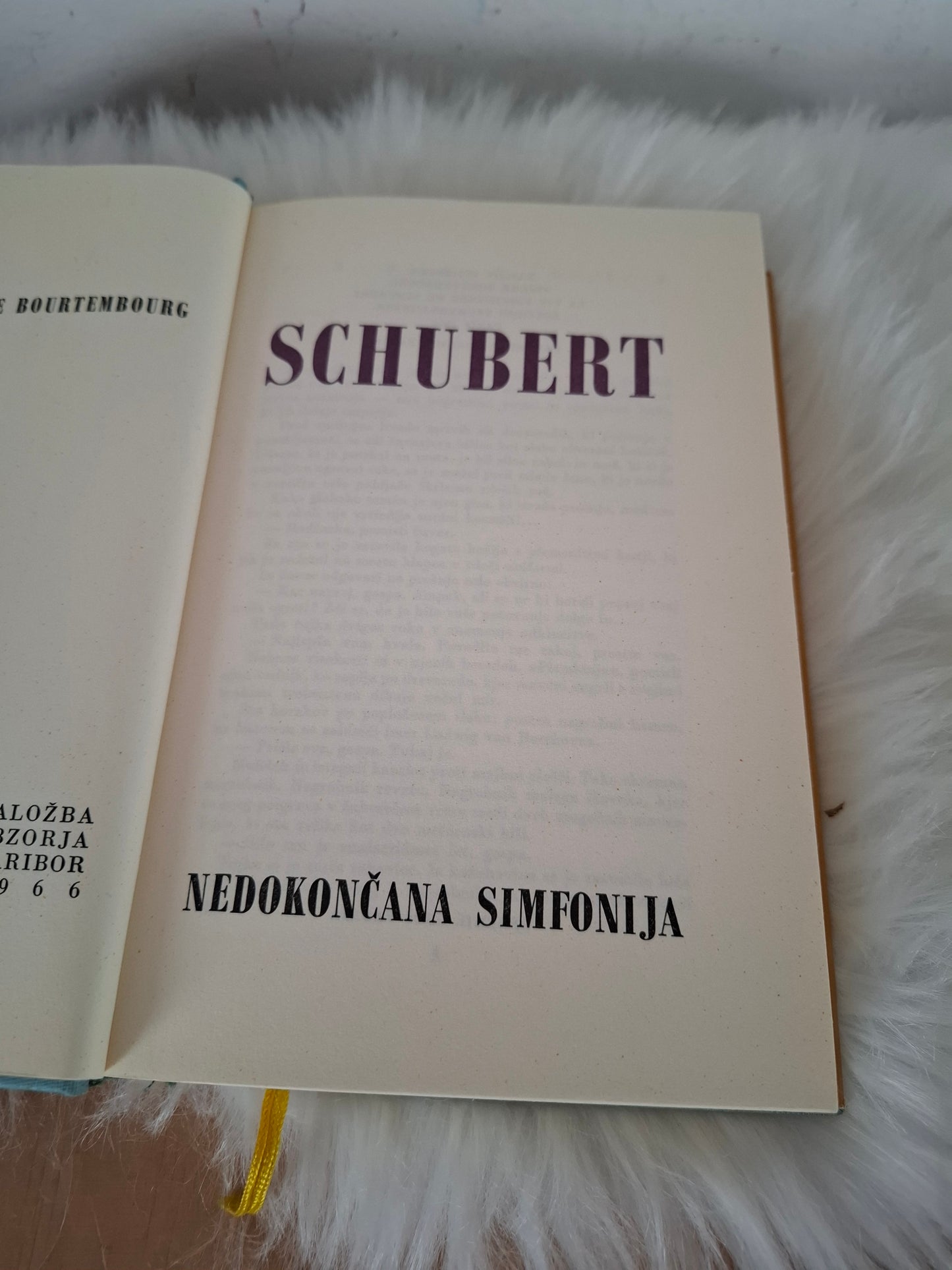 Schubert Nedokončana simfonija, Pierre Bourtembourg