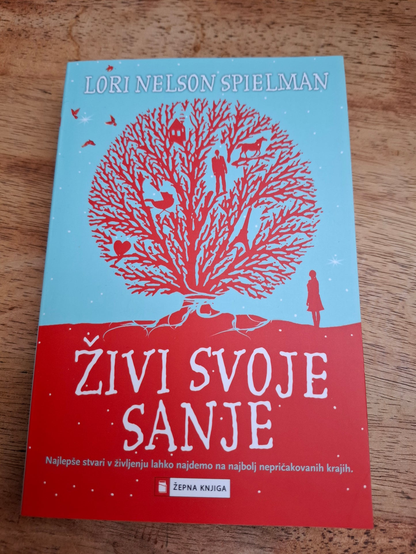 Živi svoje sanje, Lori Nelson Spielman.