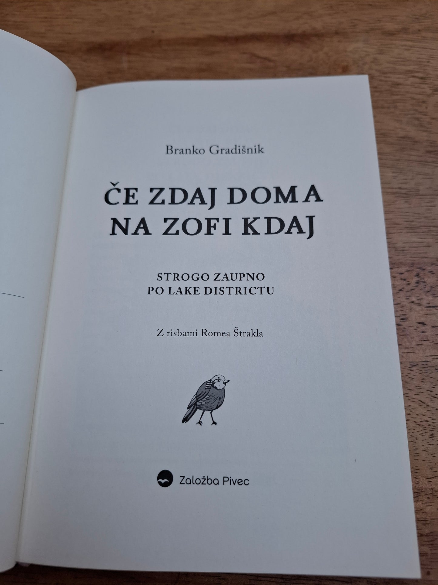 Če zdaj doma na zofi kdaj, Branko Gradišnik