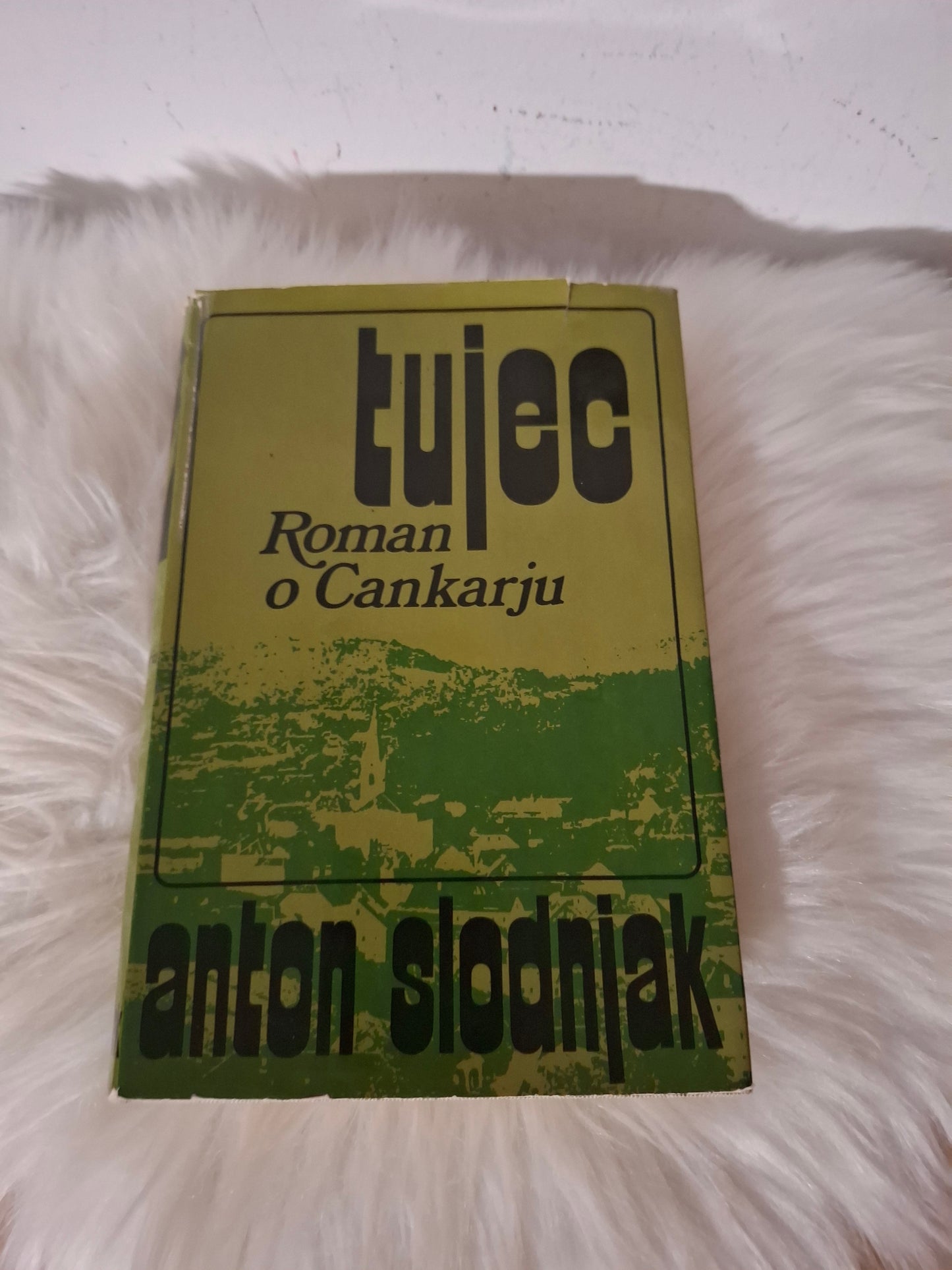 Tujec Roman o Cankarju Anton Slodnjak