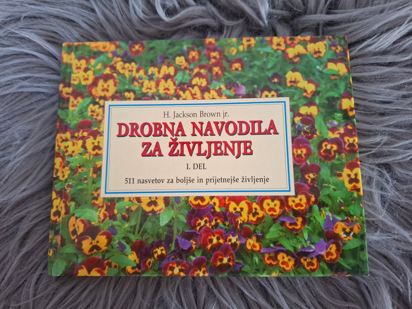 Drobna navodila za življenje H.Jackson  Brown