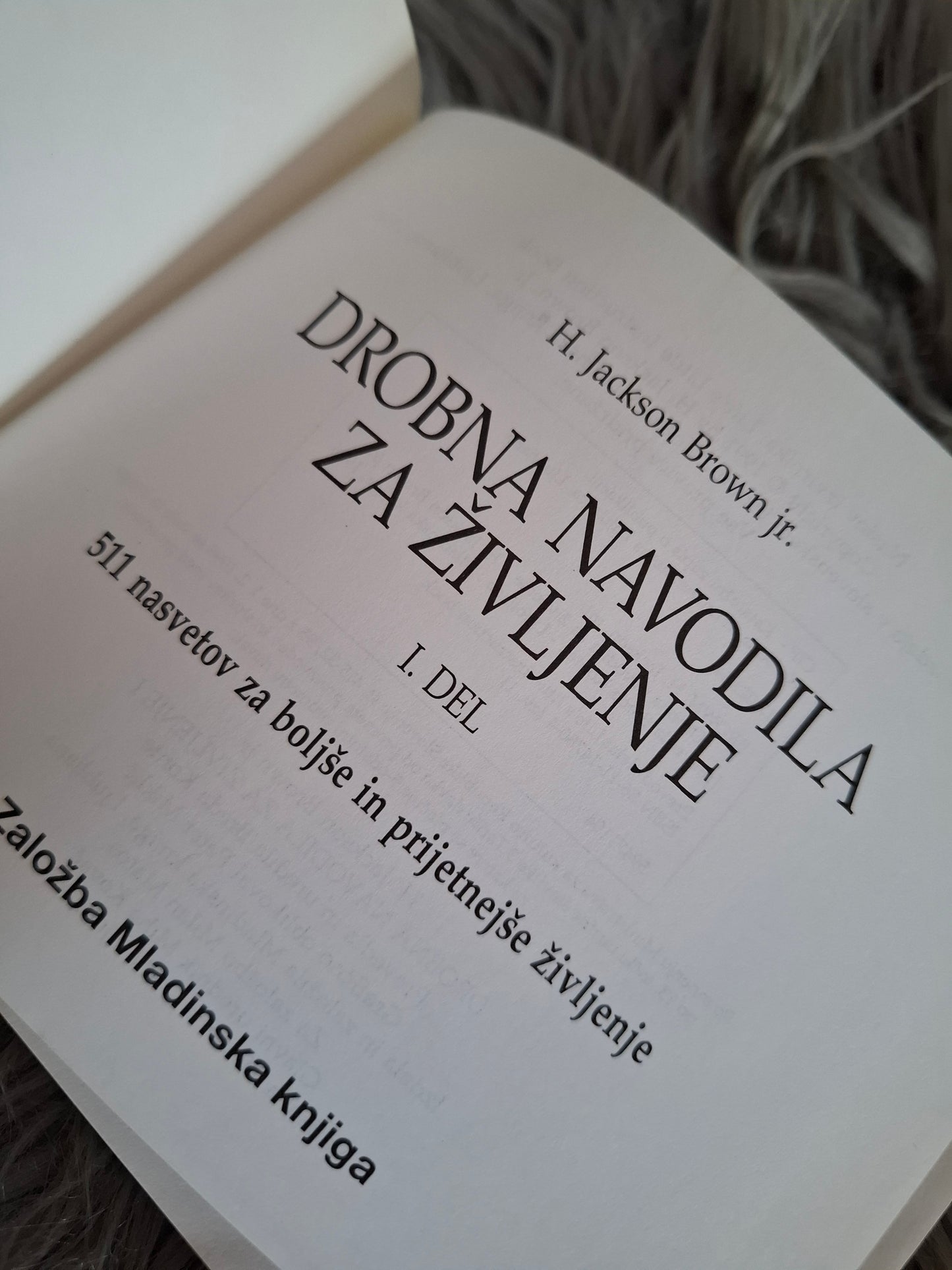 Drobna navodila za življenje H.Jackson  Brown