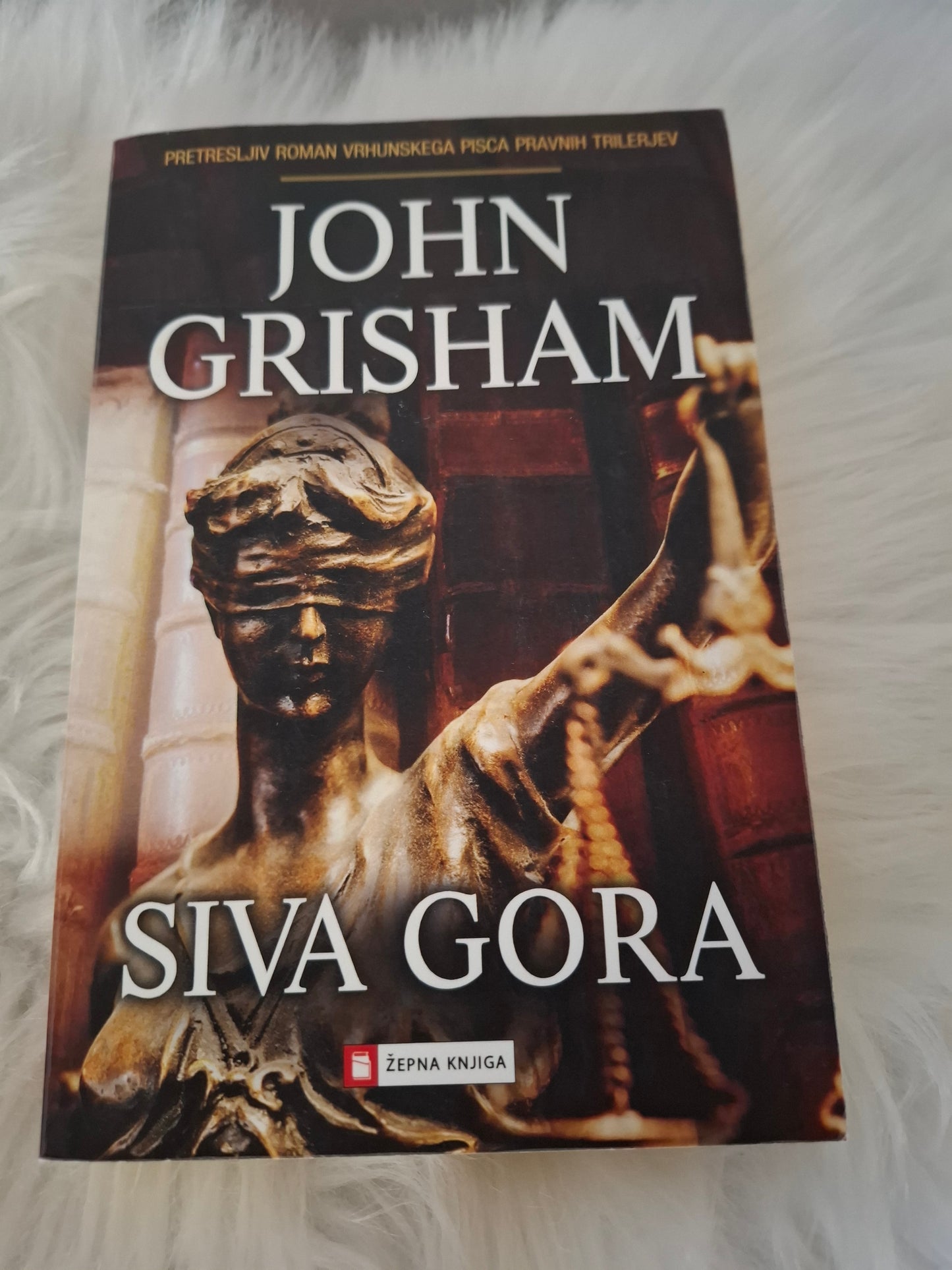 Siva gora John Grisham