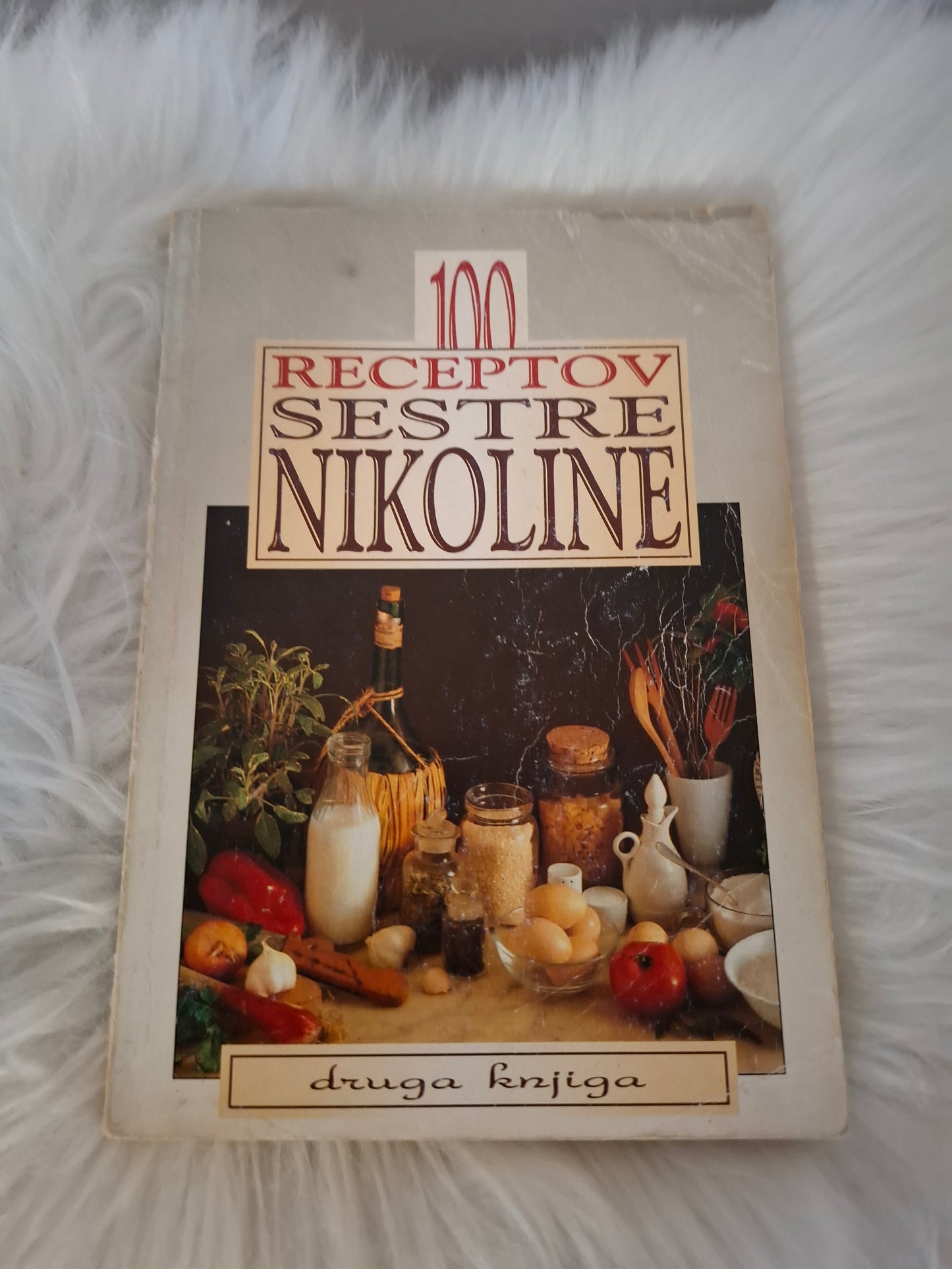 100 receptov sestre Nikoline Družina