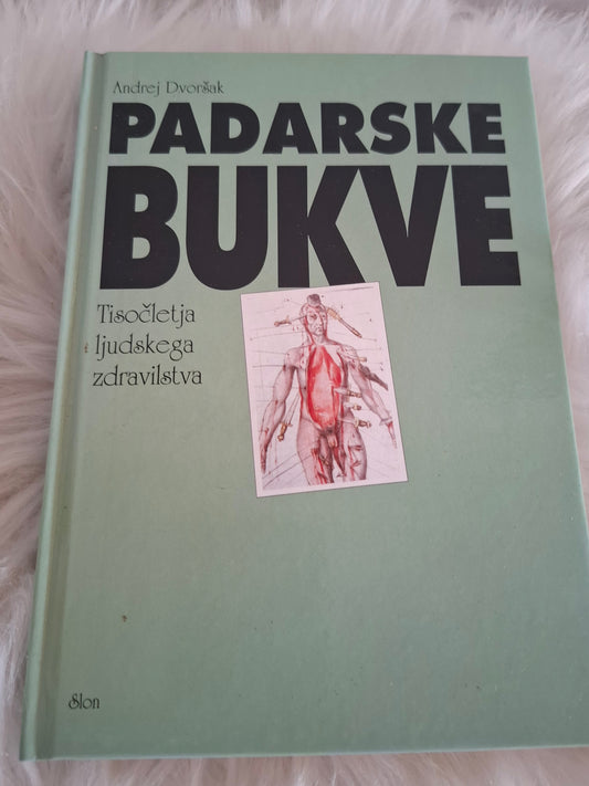 Padarske bukve Andrej Dvoršak