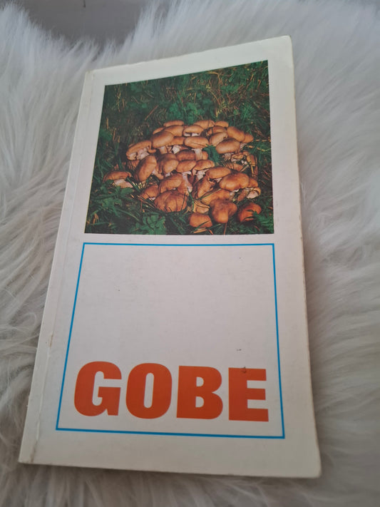 Gobe Blanka Druškovič