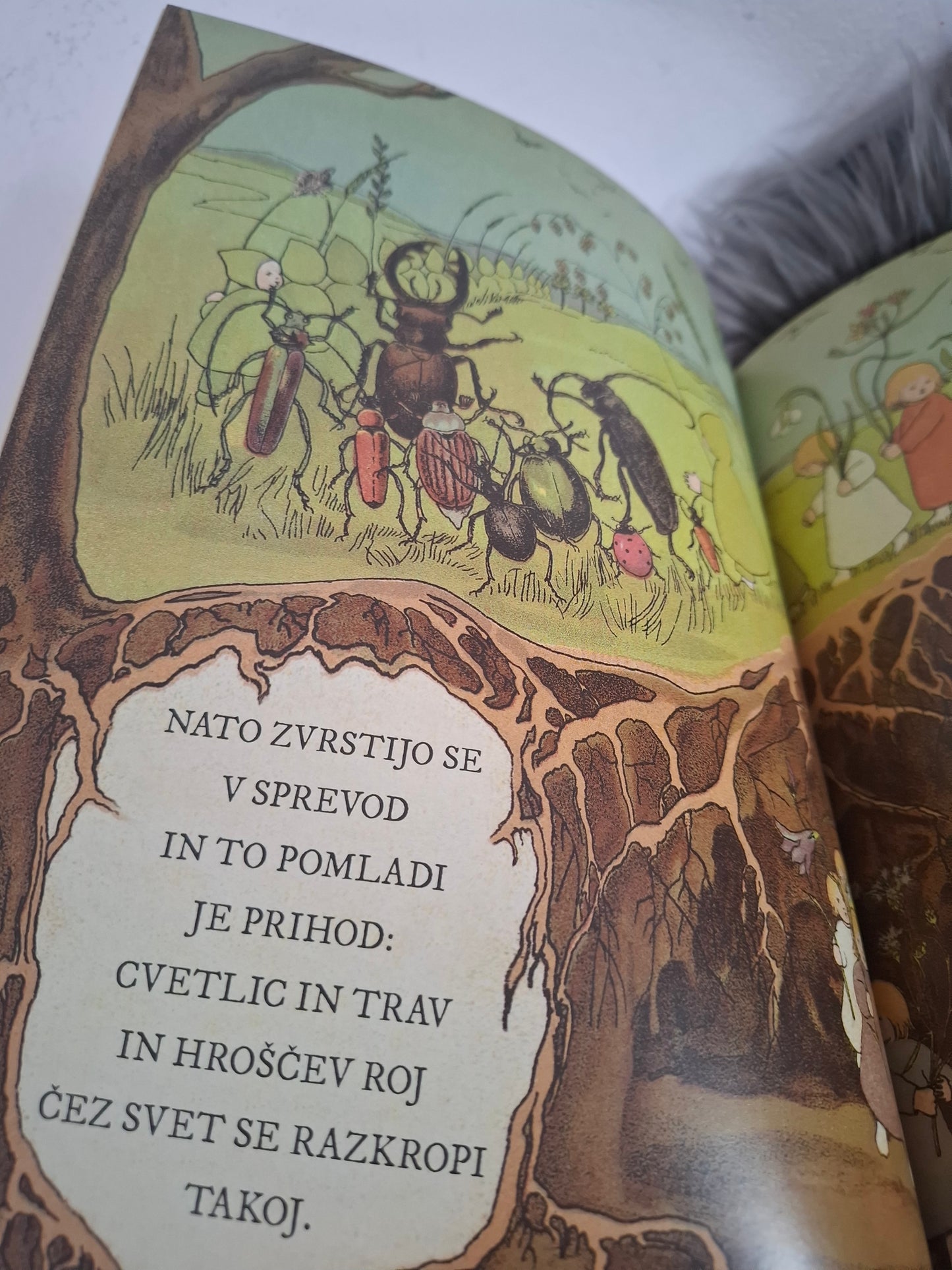 Pokonci izpod korenin Sibylle Von Olfers