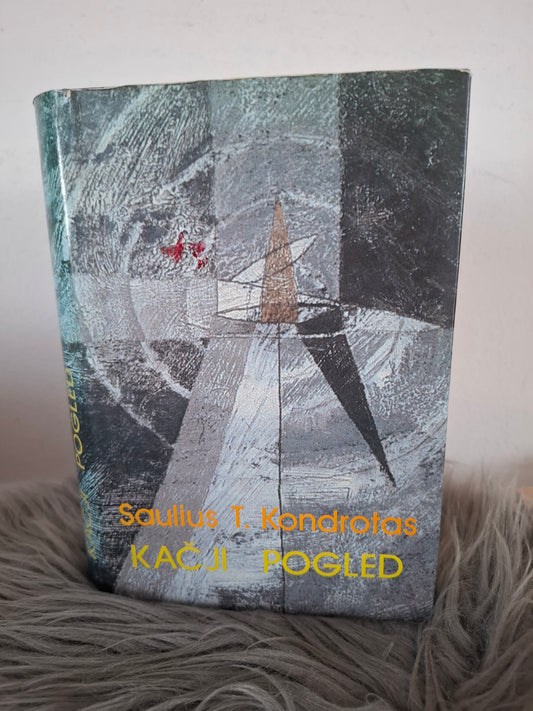 Kačji pogled Saulius T. Kondrotas