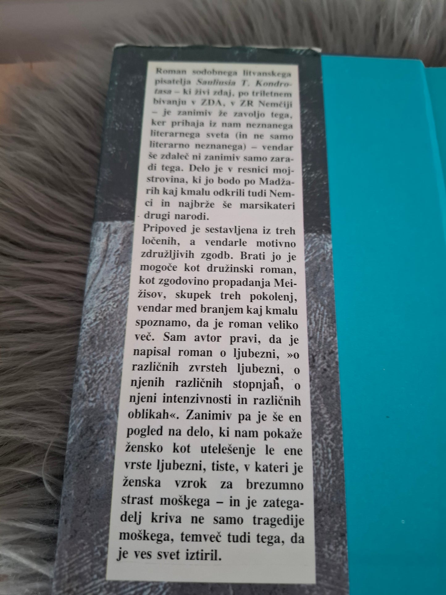 Kačji pogled Saulius T. Kondrotas