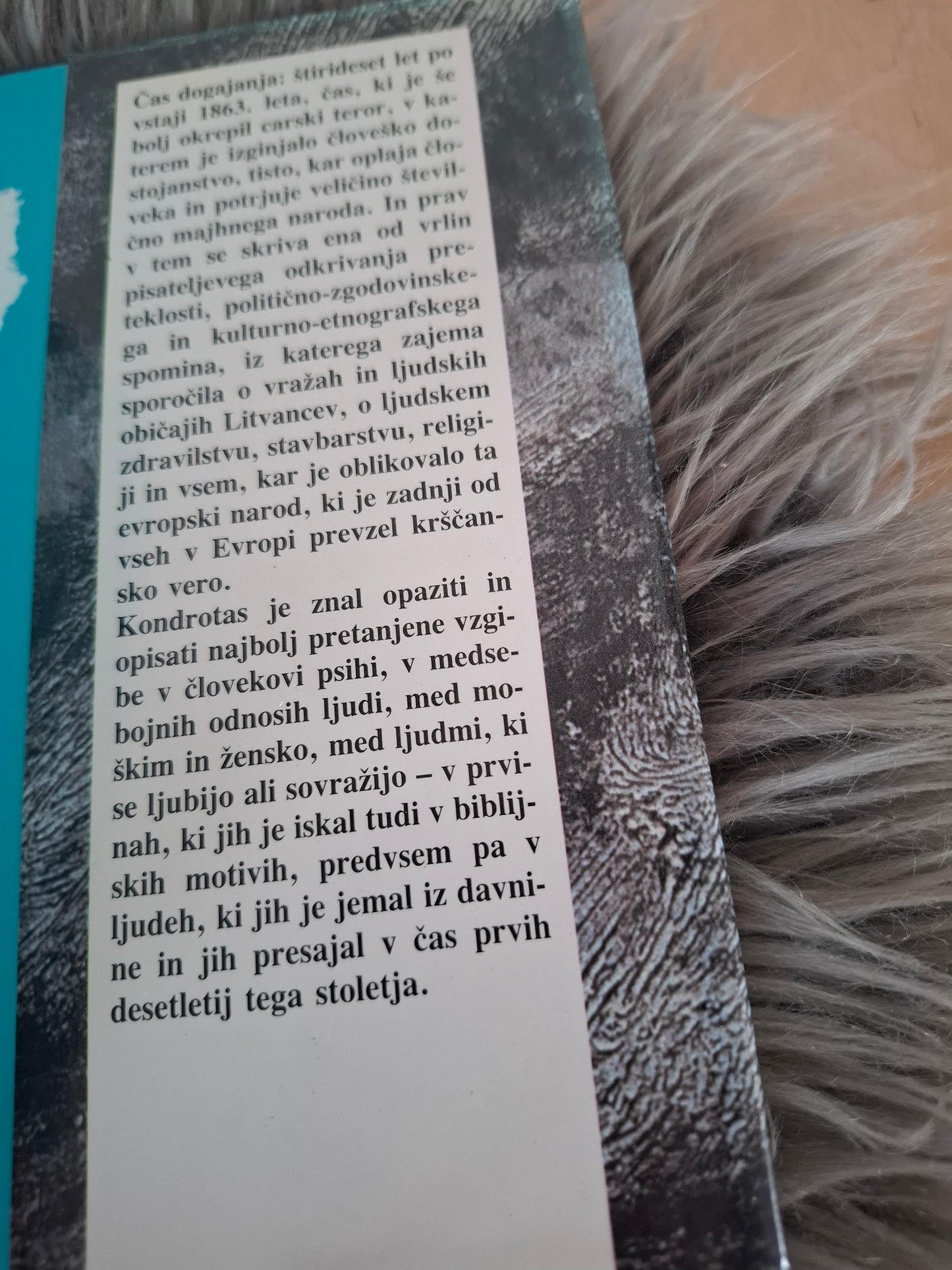 Kačji pogled Saulius T. Kondrotas