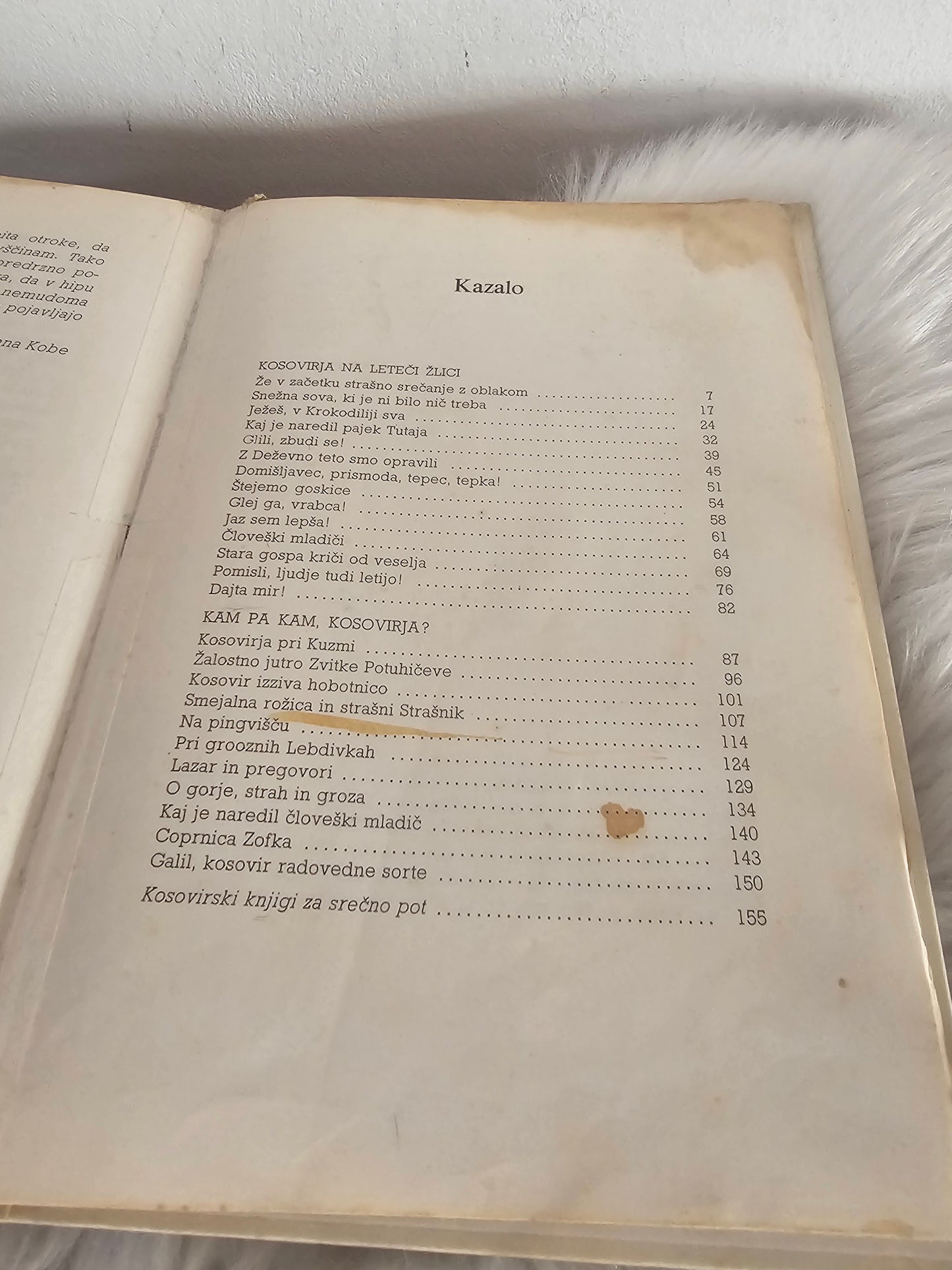 Kosovirja na leteči žlici Svetlana Makarovič