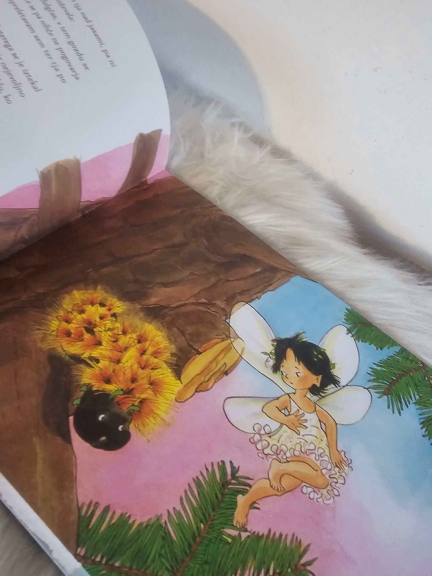 Vila malina Svetlana Makarovič