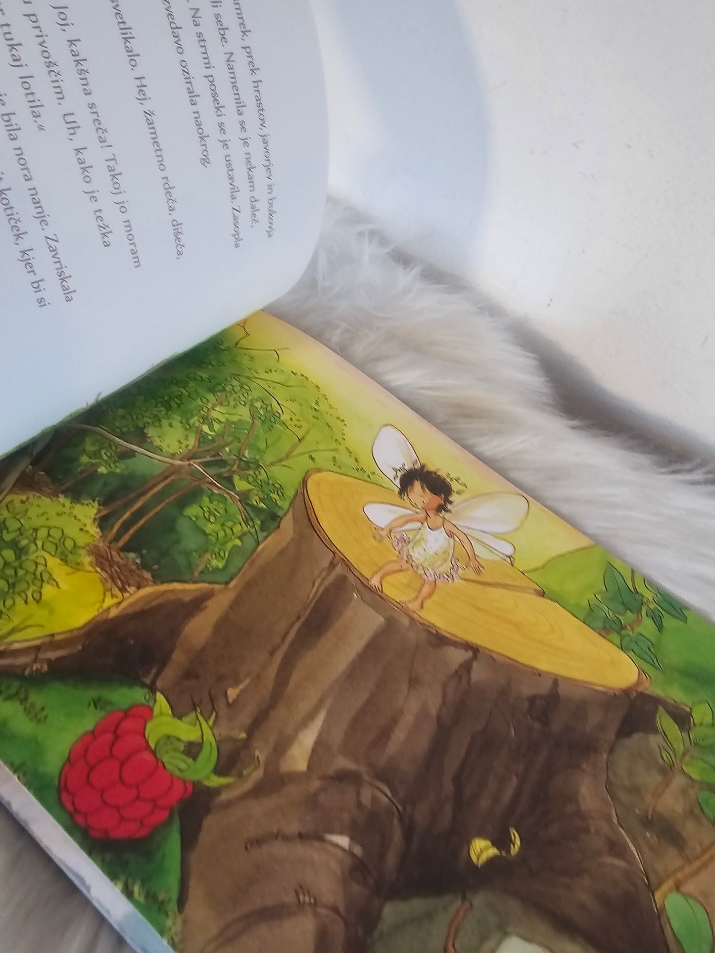 Vila malina Svetlana Makarovič