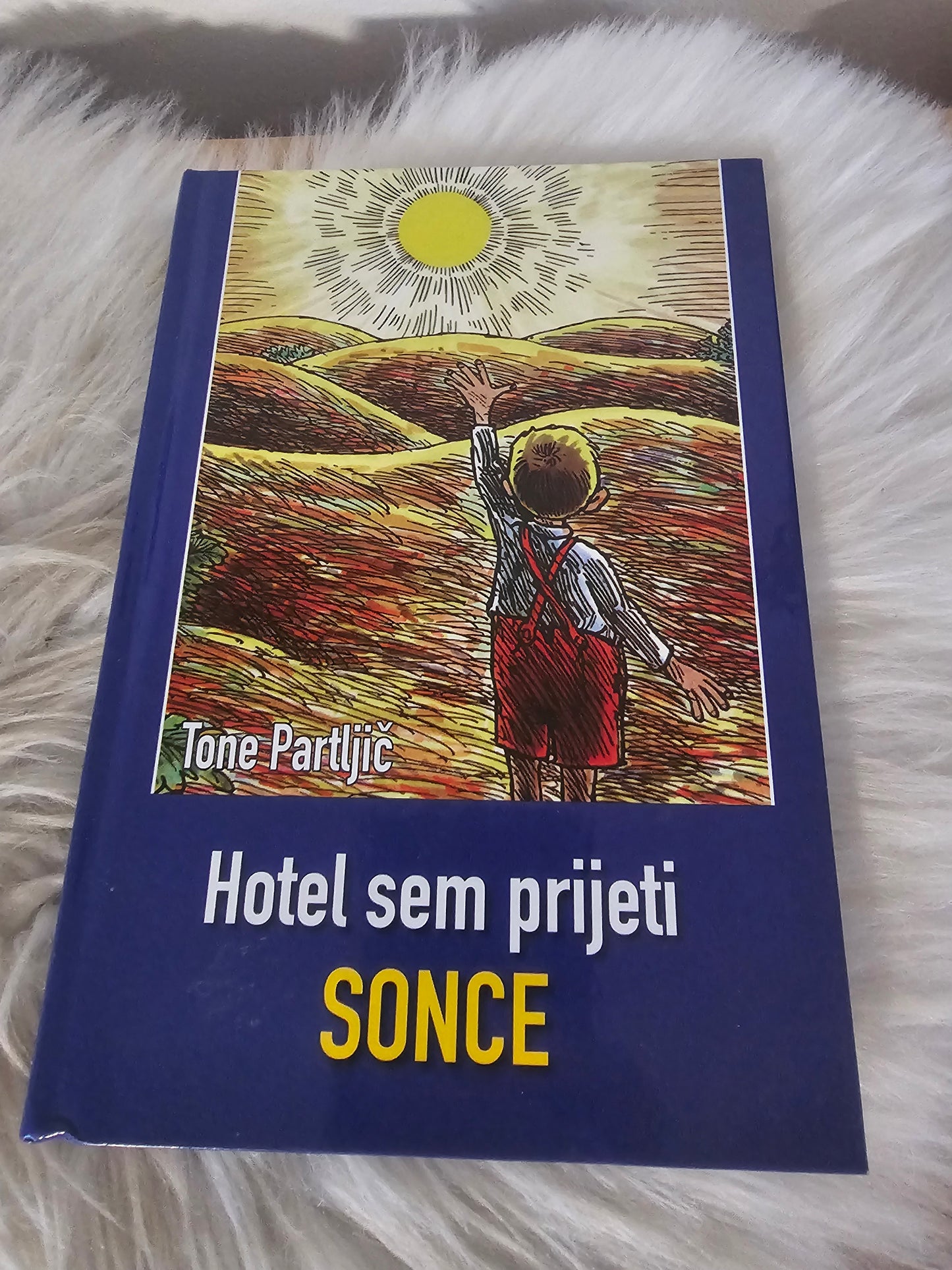 Hotel sem prijeti sonce Tone Partljič