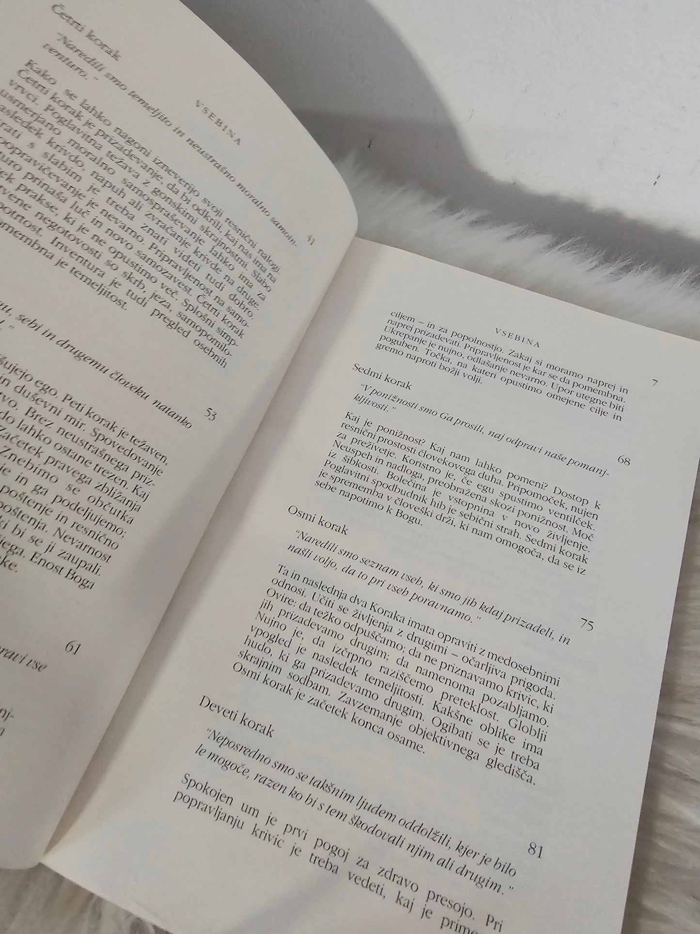 Dvanajst korakov in dvanajst izročil več avtorjev