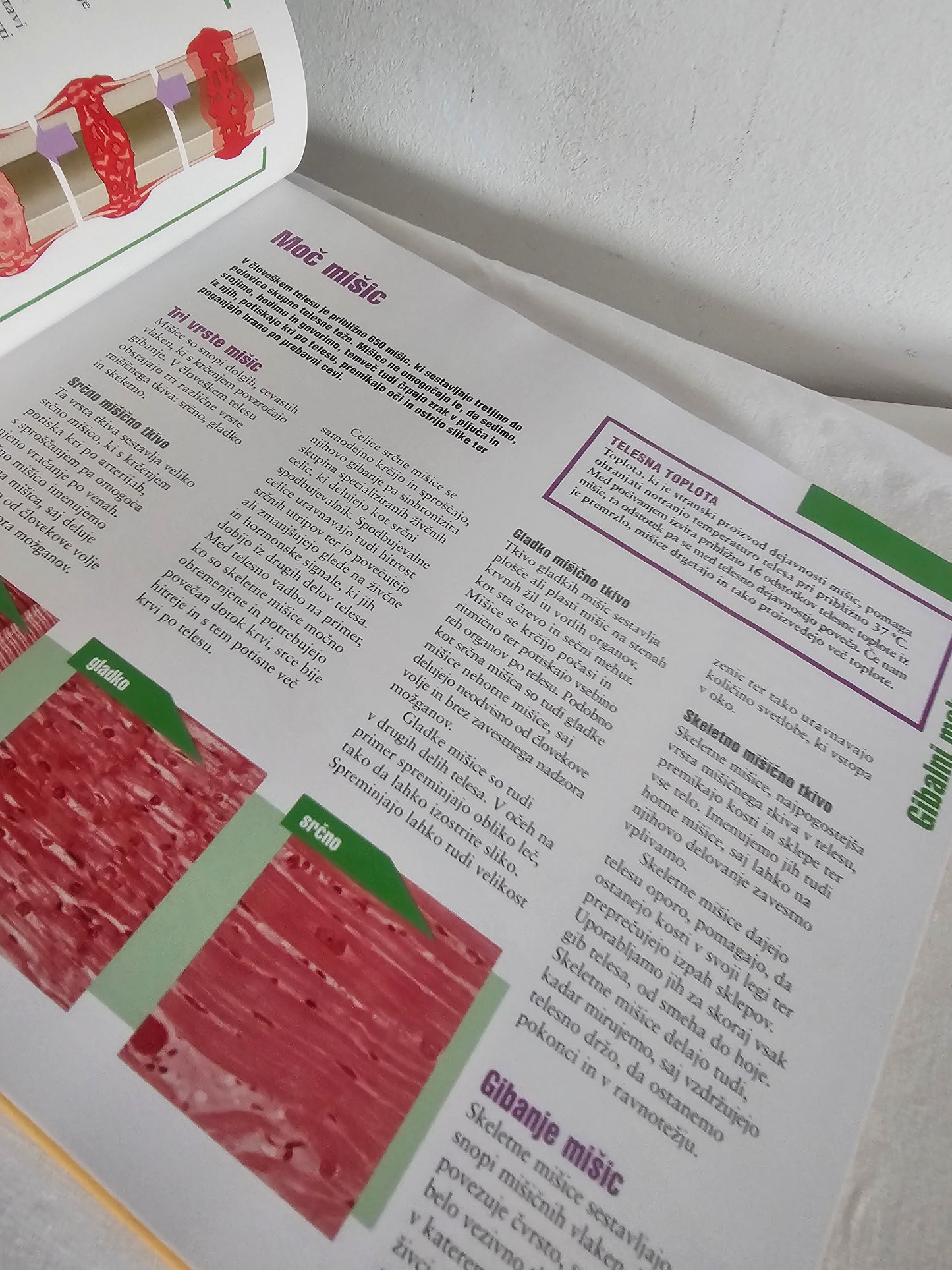 Zdrave kosti, mišice in sklepi  Reader Digest