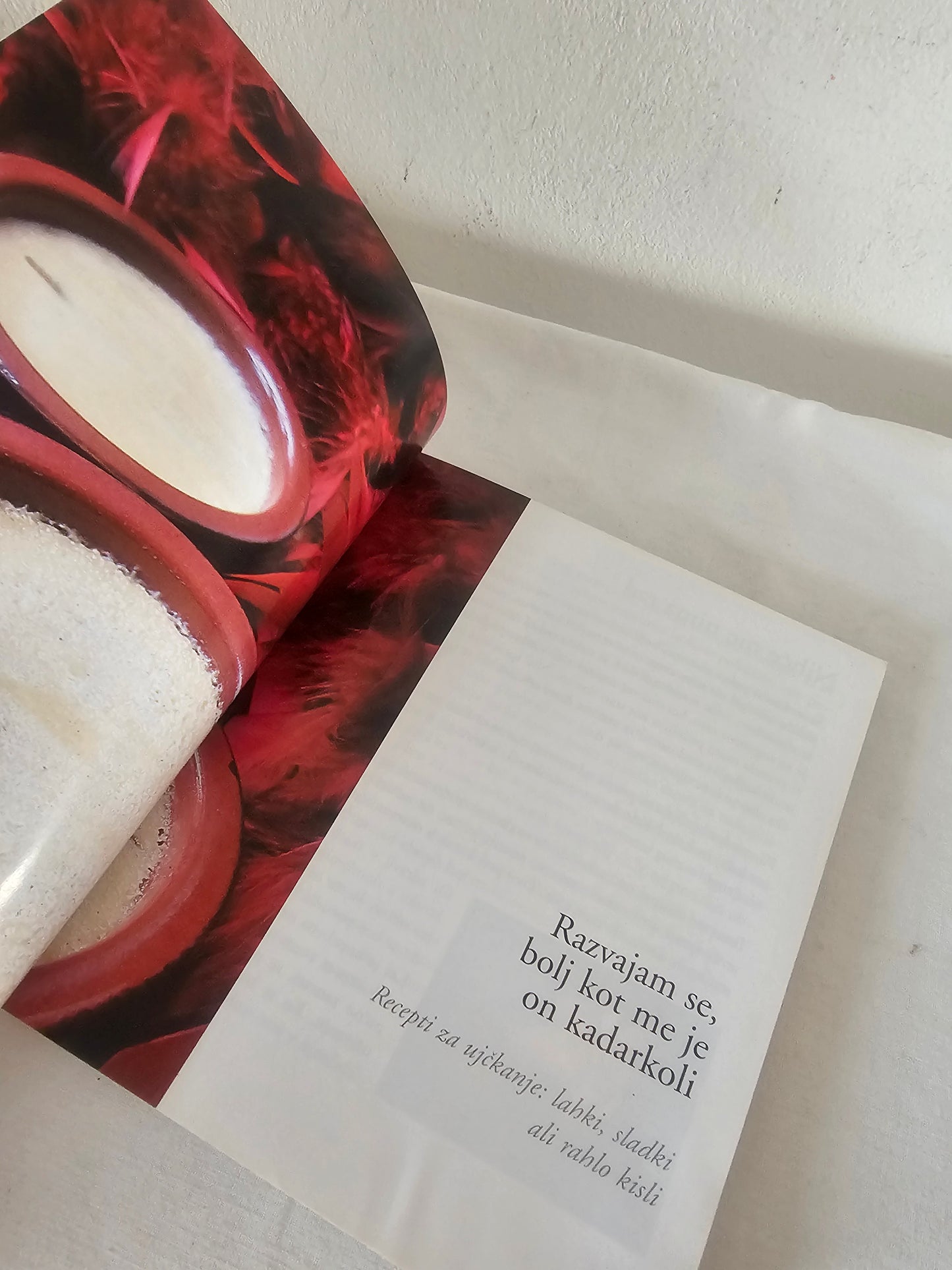 Kako pozabiti svojega bivšega z žlico in vilicami? Claire Jacquet Marina Veuillet