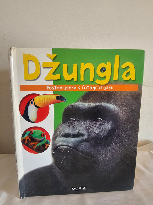 Džungla  Učila